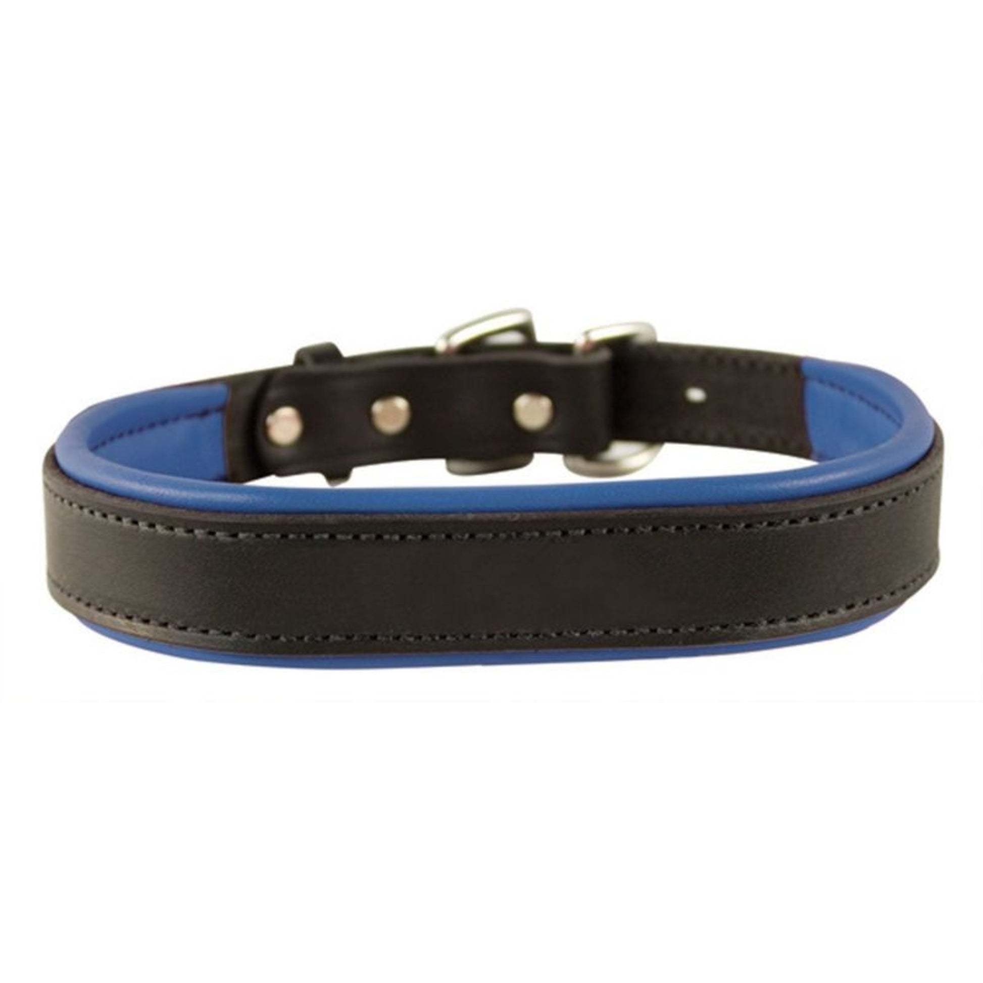 Perris Padded Leather Dog Collar