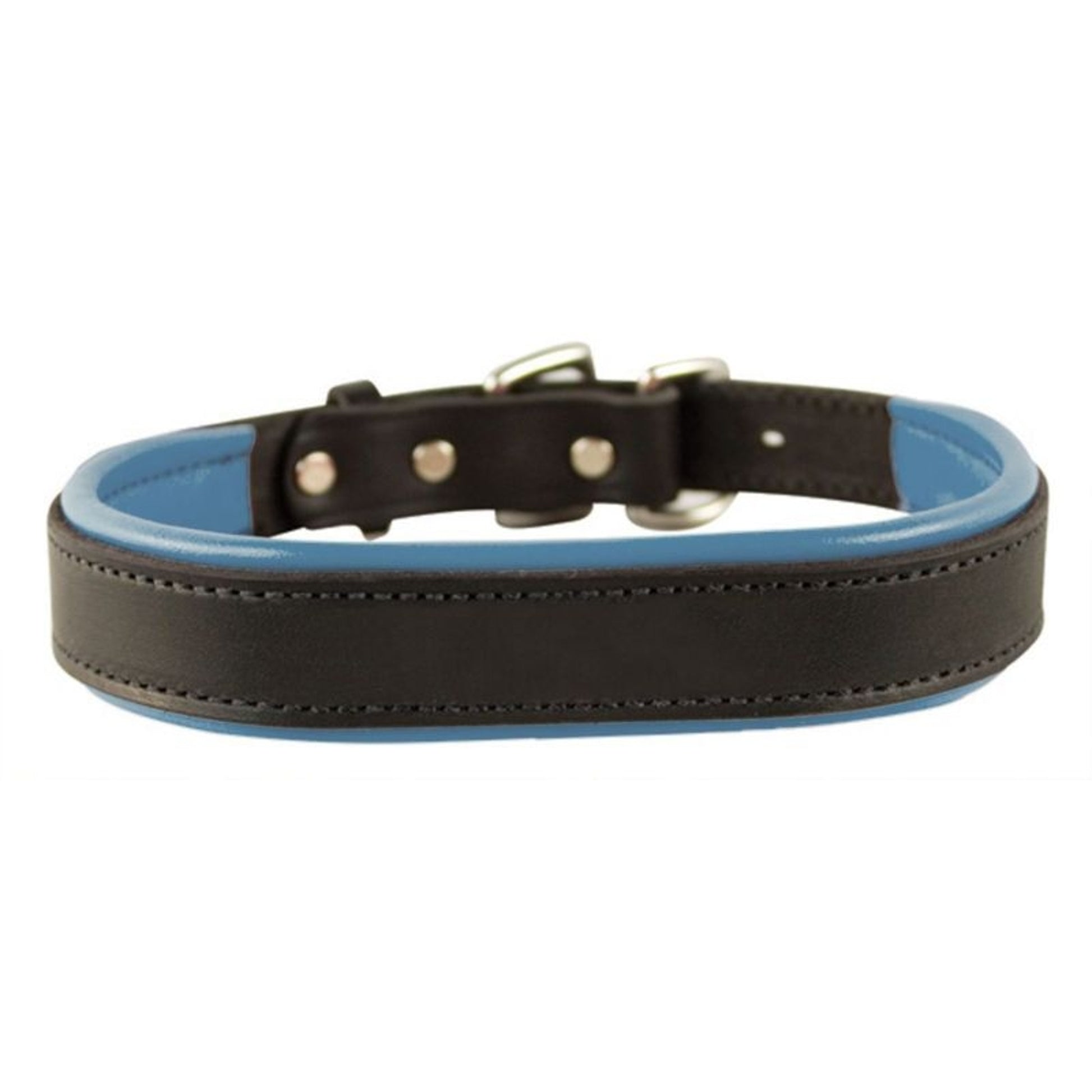 Perris Padded Leather Dog Collar