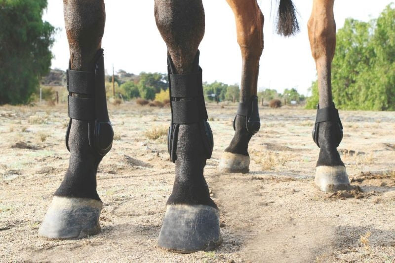 Pro Choice Tendon Open Front Air Shock BootBrn