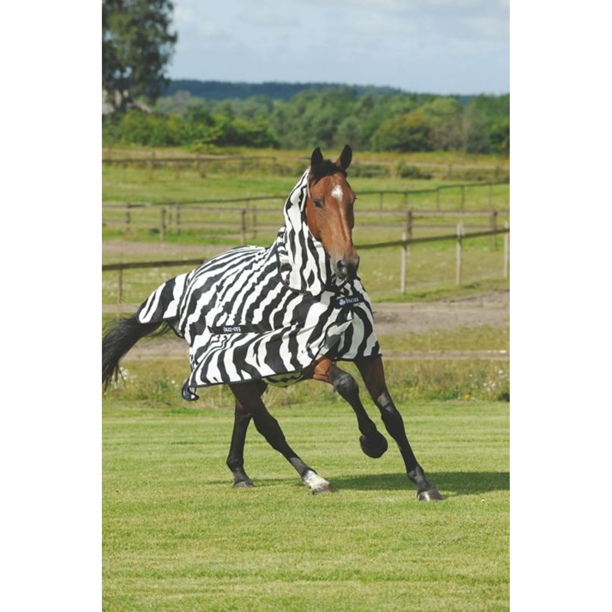 Bucas Zebra Fly Sheet
