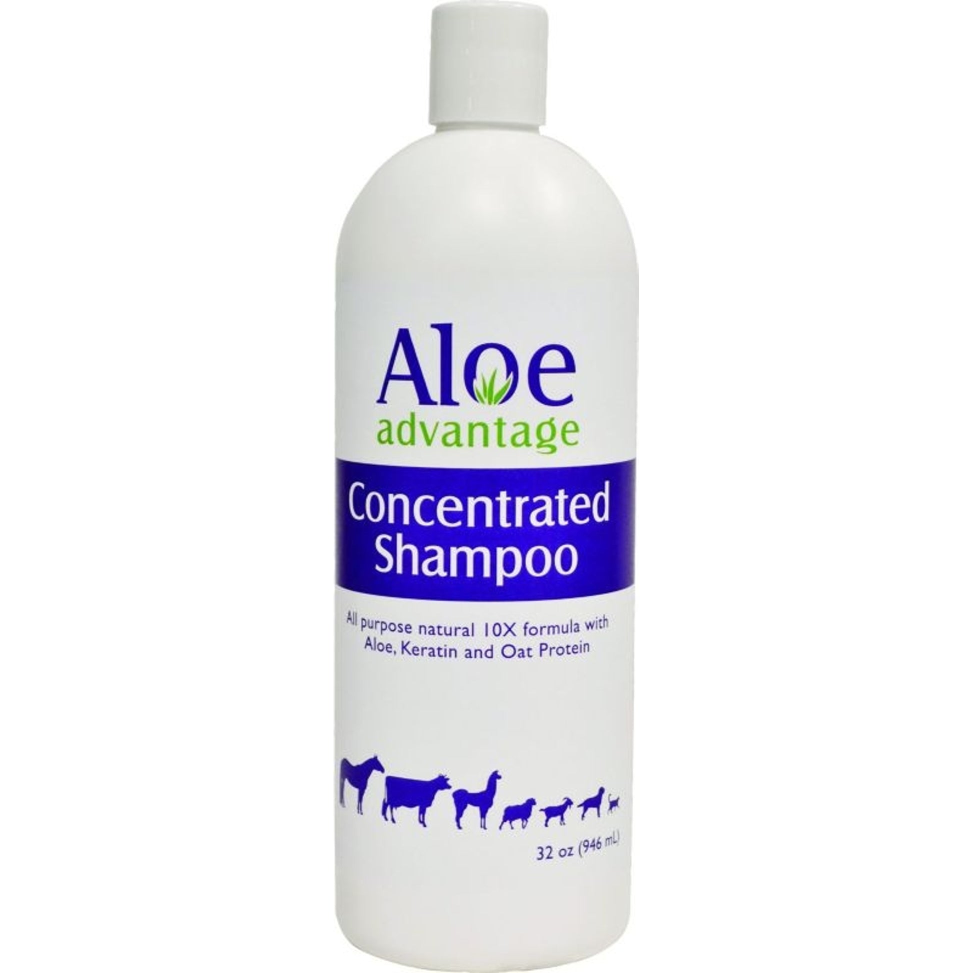 Aloe Advantage Concentrated Shampoo 10X Qt