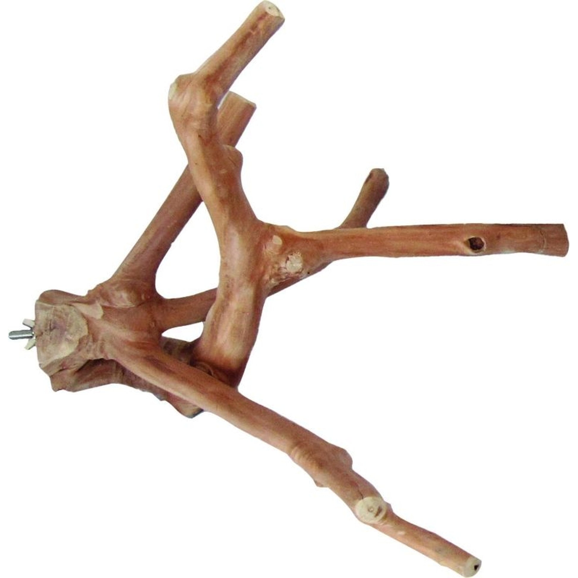 Java Wood Natural Multi Branch Bird Perch