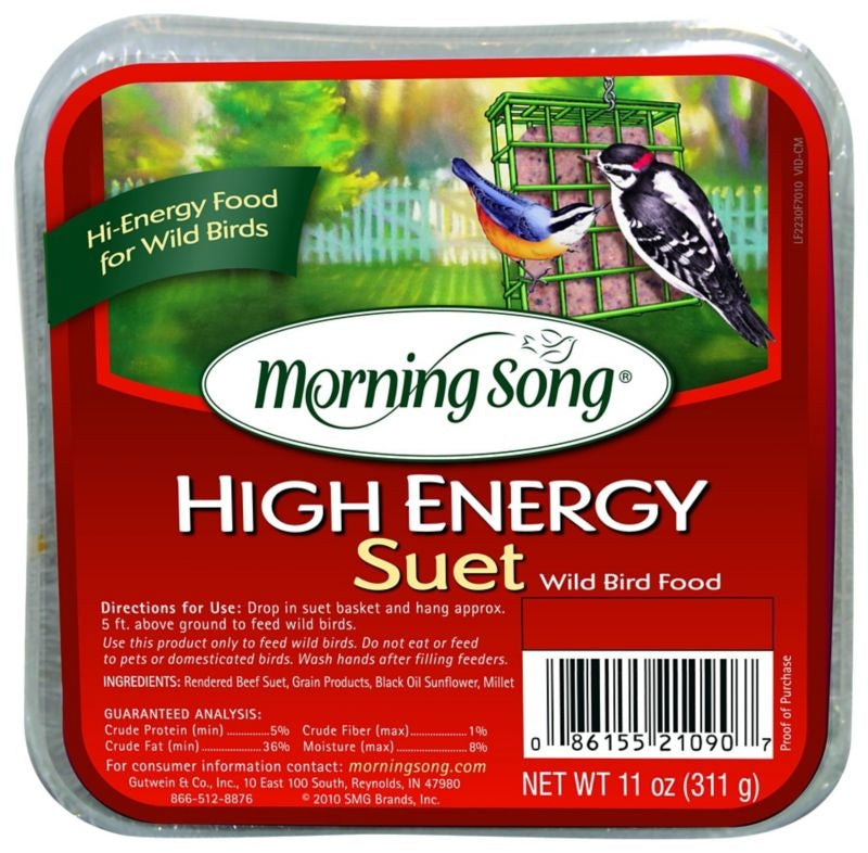 Morning Song High Energy Suet Wild Bird Food 11oz
