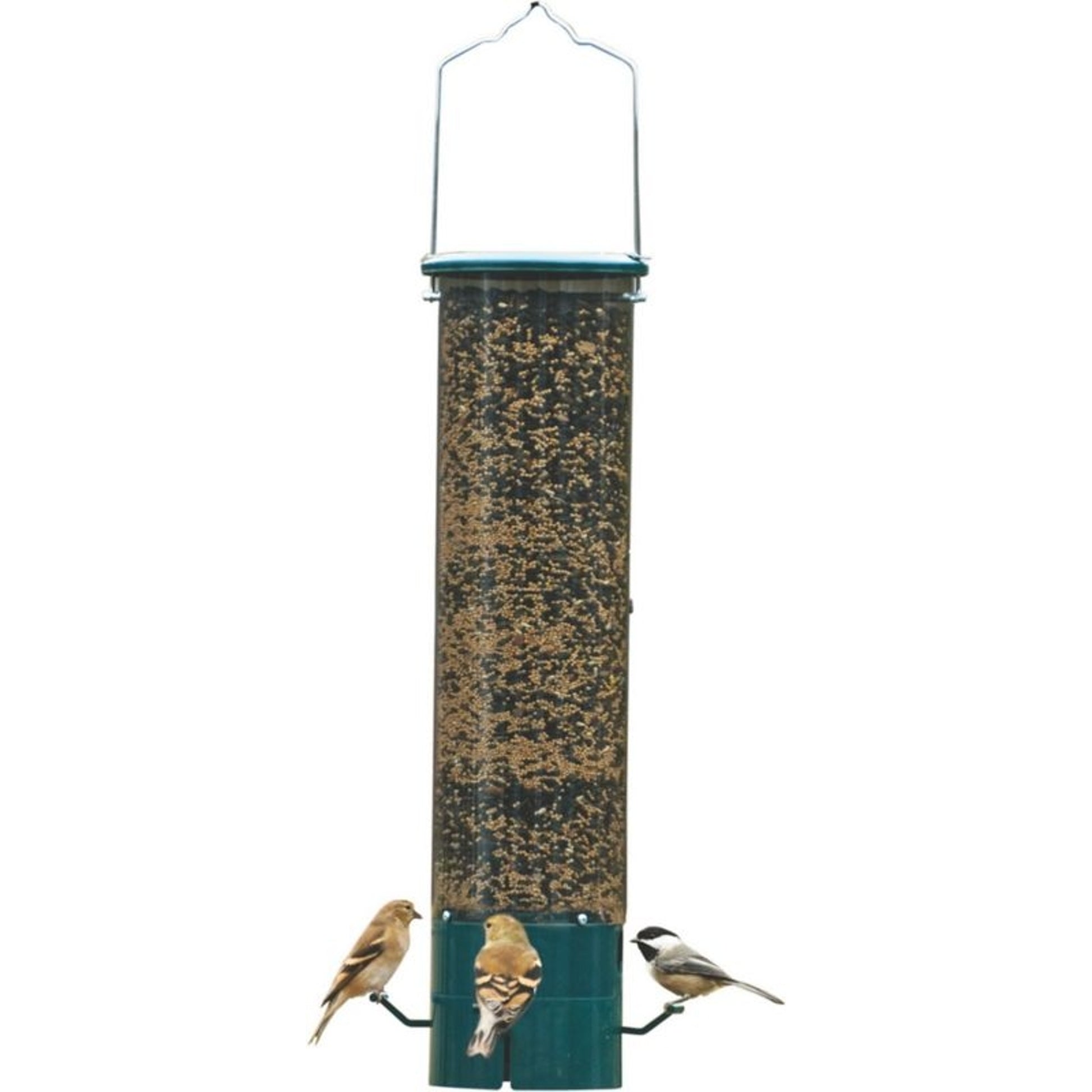 Magnet Squirrel Resistant Bird Feeder 7.5lb Hunter