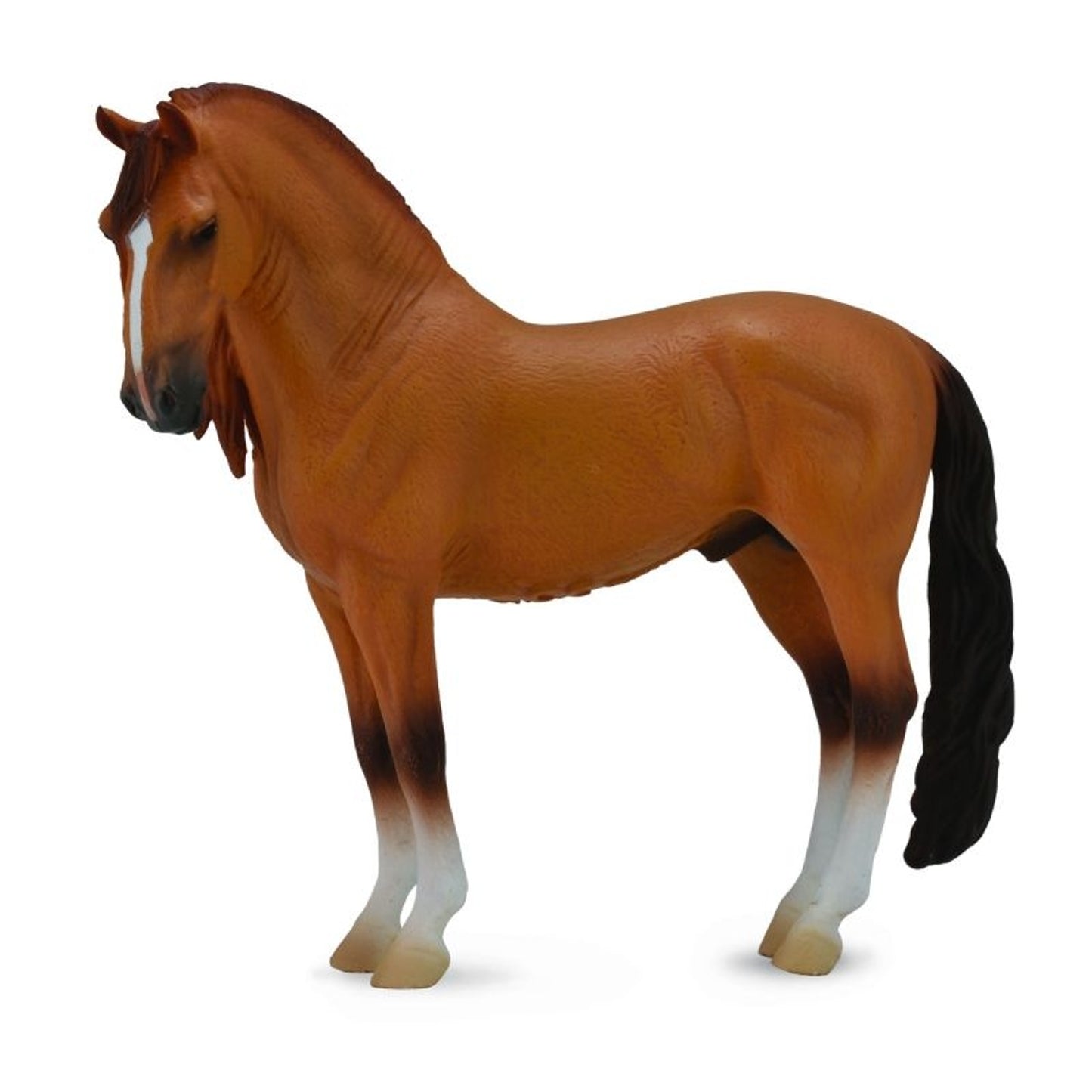 TH1328605.jpg