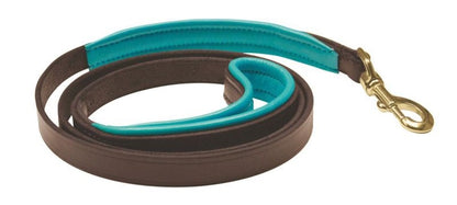 Perris Padded Leather Dog Leash