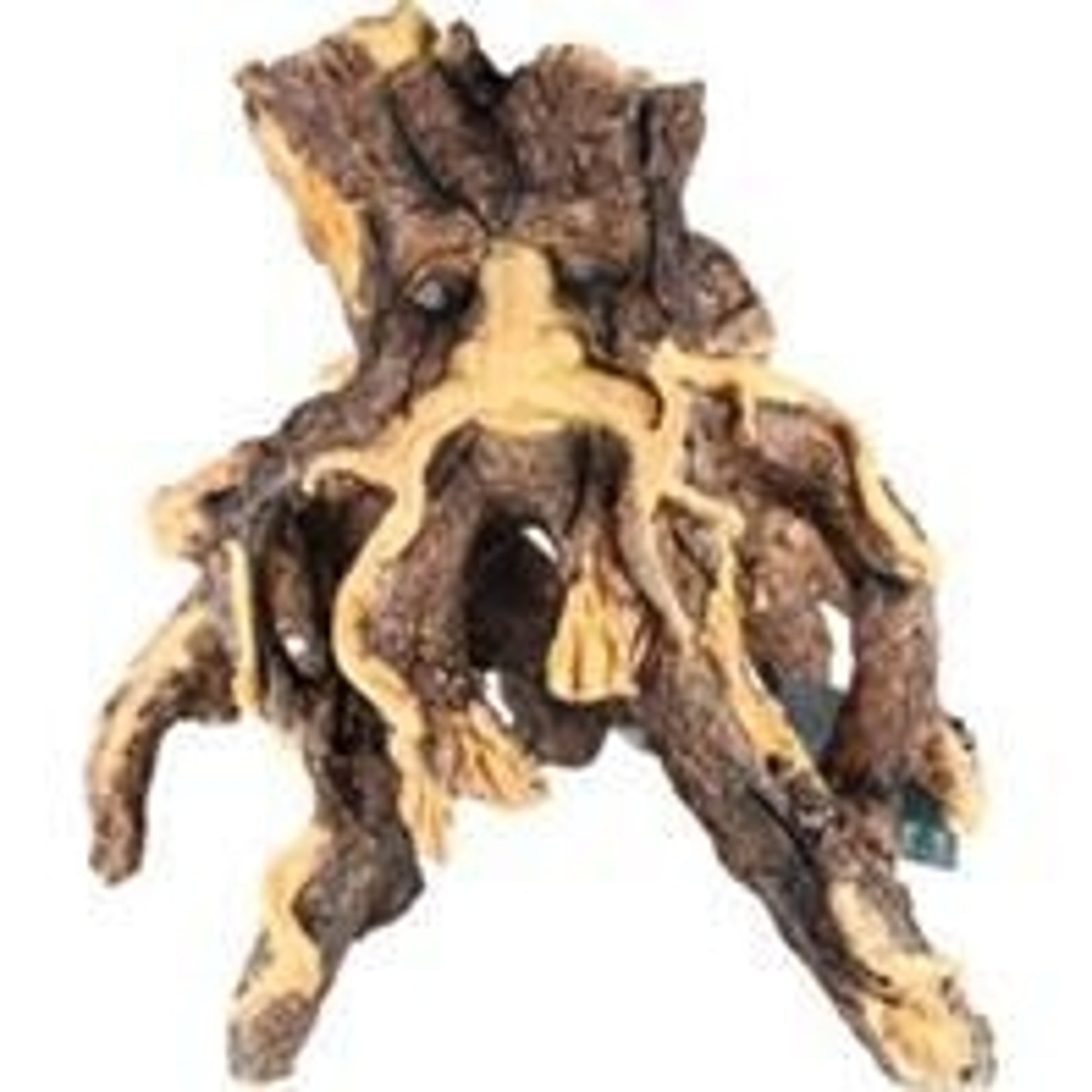 Sunken Tree Of Knowledge 2 Driftwood 11x8x11