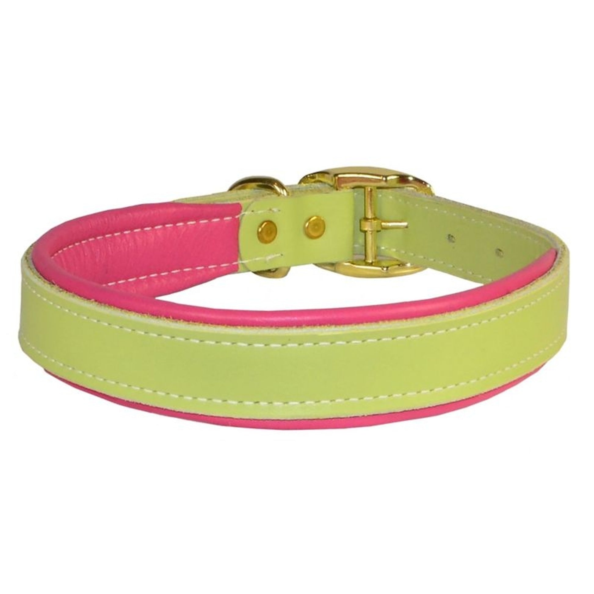 Perris Padded Leather Dog Collar