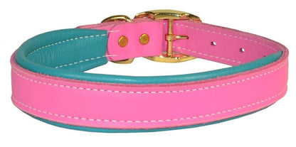 Perris Padded Leather Dog Collar