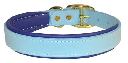Perris Padded Leather Dog Collar