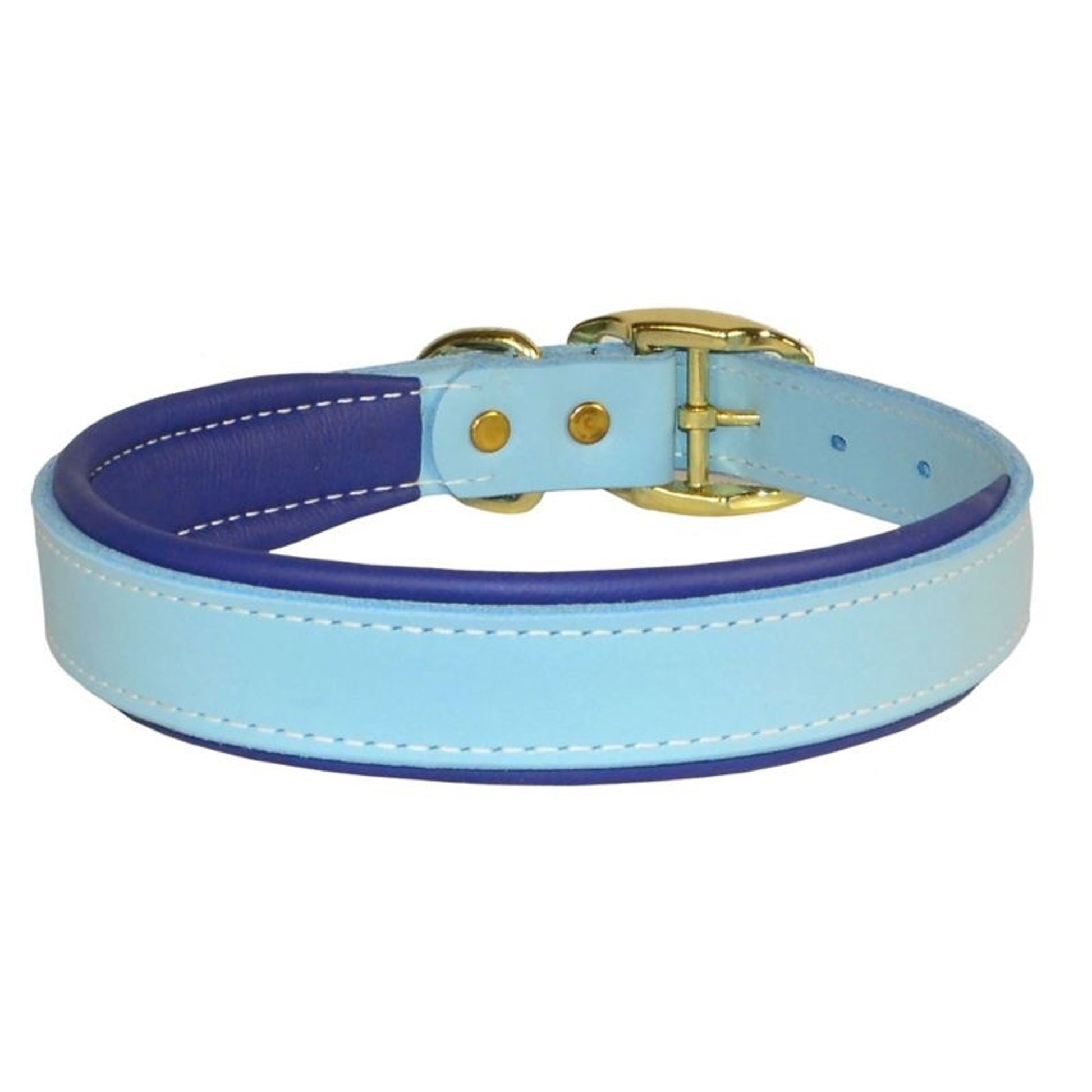 Perris Padded Leather Dog Collar