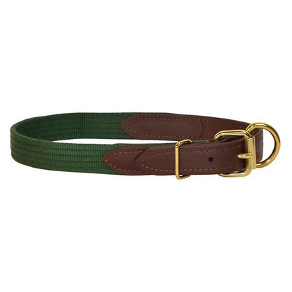 Perris Beta/Cotton Dog Collar LG Black Lime
