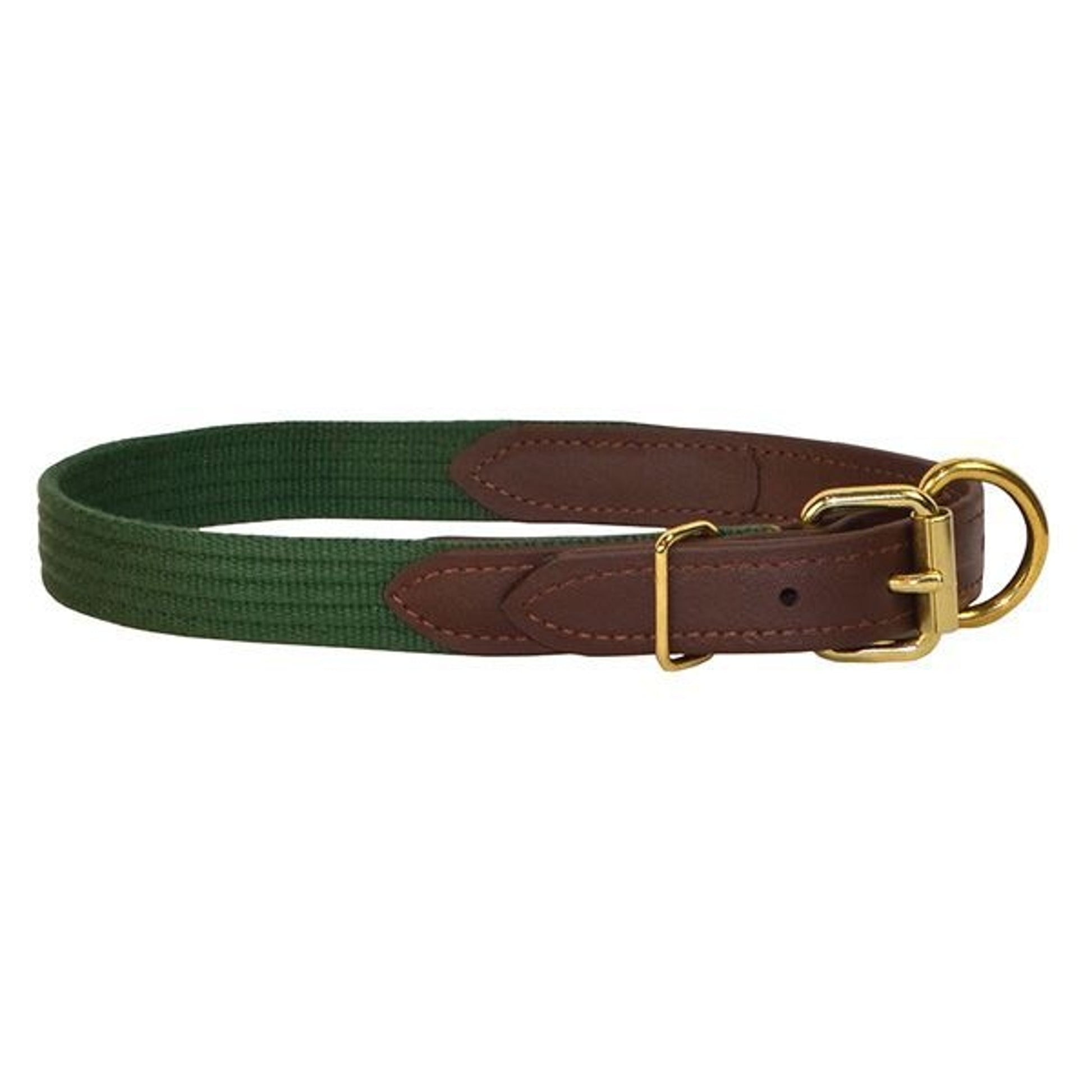 Perris Beta/Cotton Dog Collar LG Black Lime