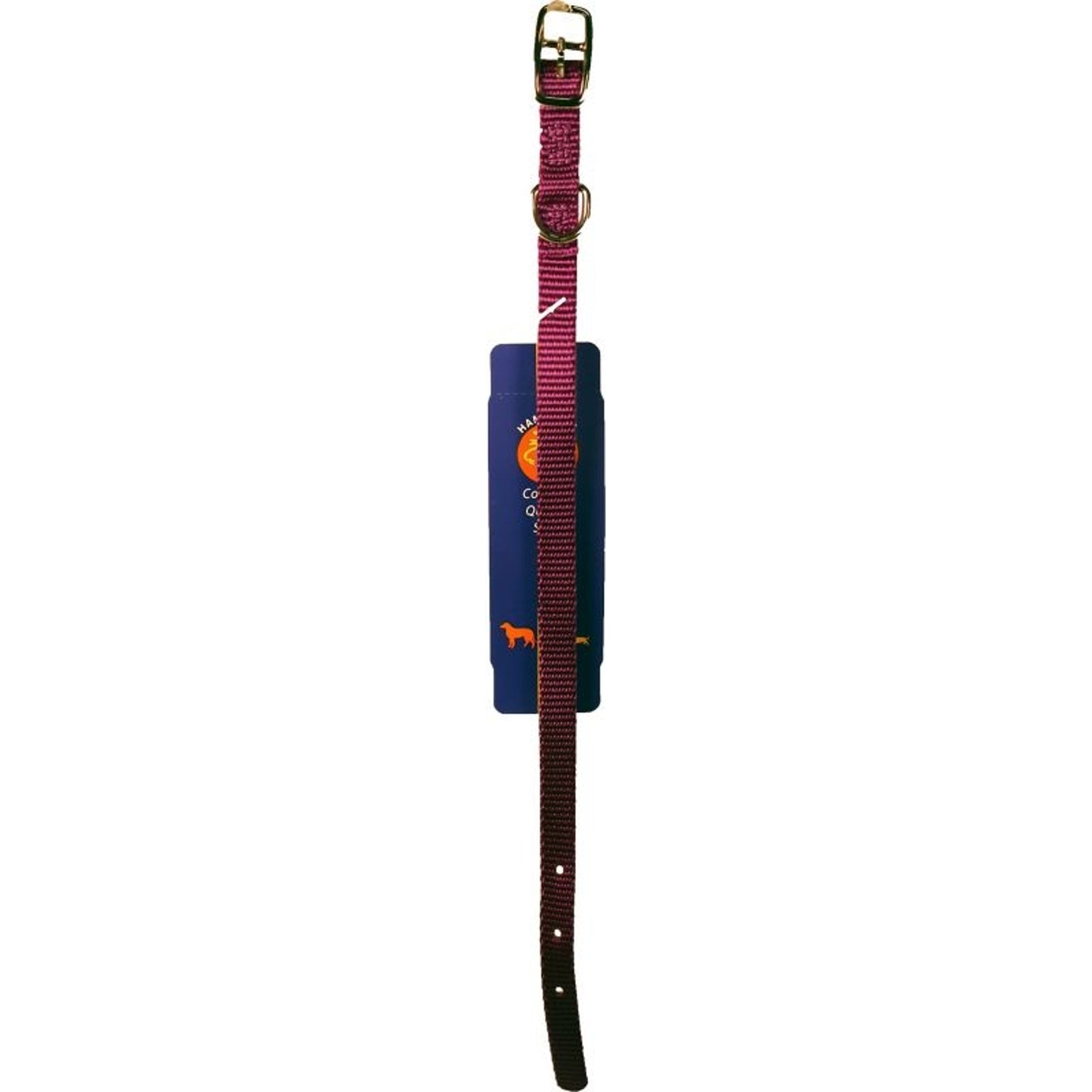 Nylon Dog Collar 3/8x12 Purple