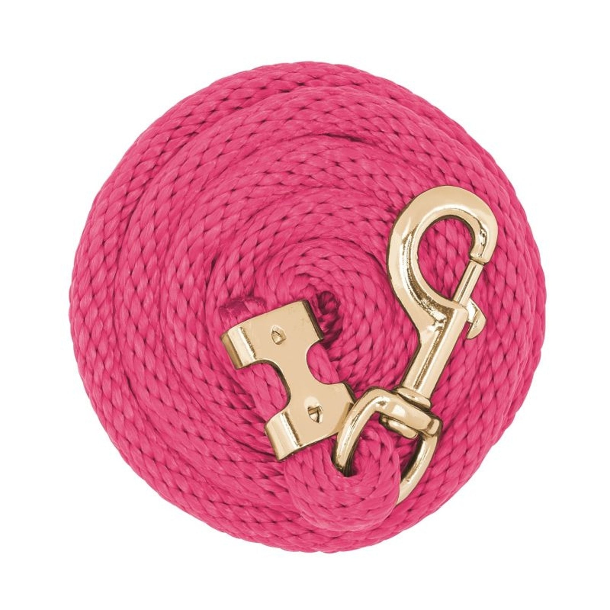 Weaver Value Lead Rope Brass Snap
