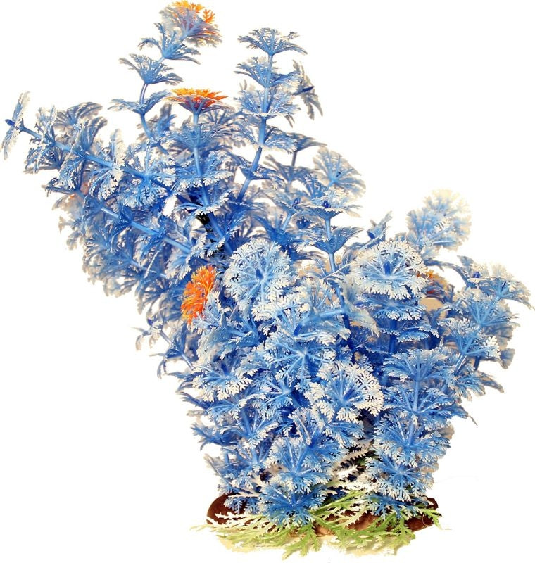 Poppy Pet Bushy Ambuila Aquarium Plant Blue