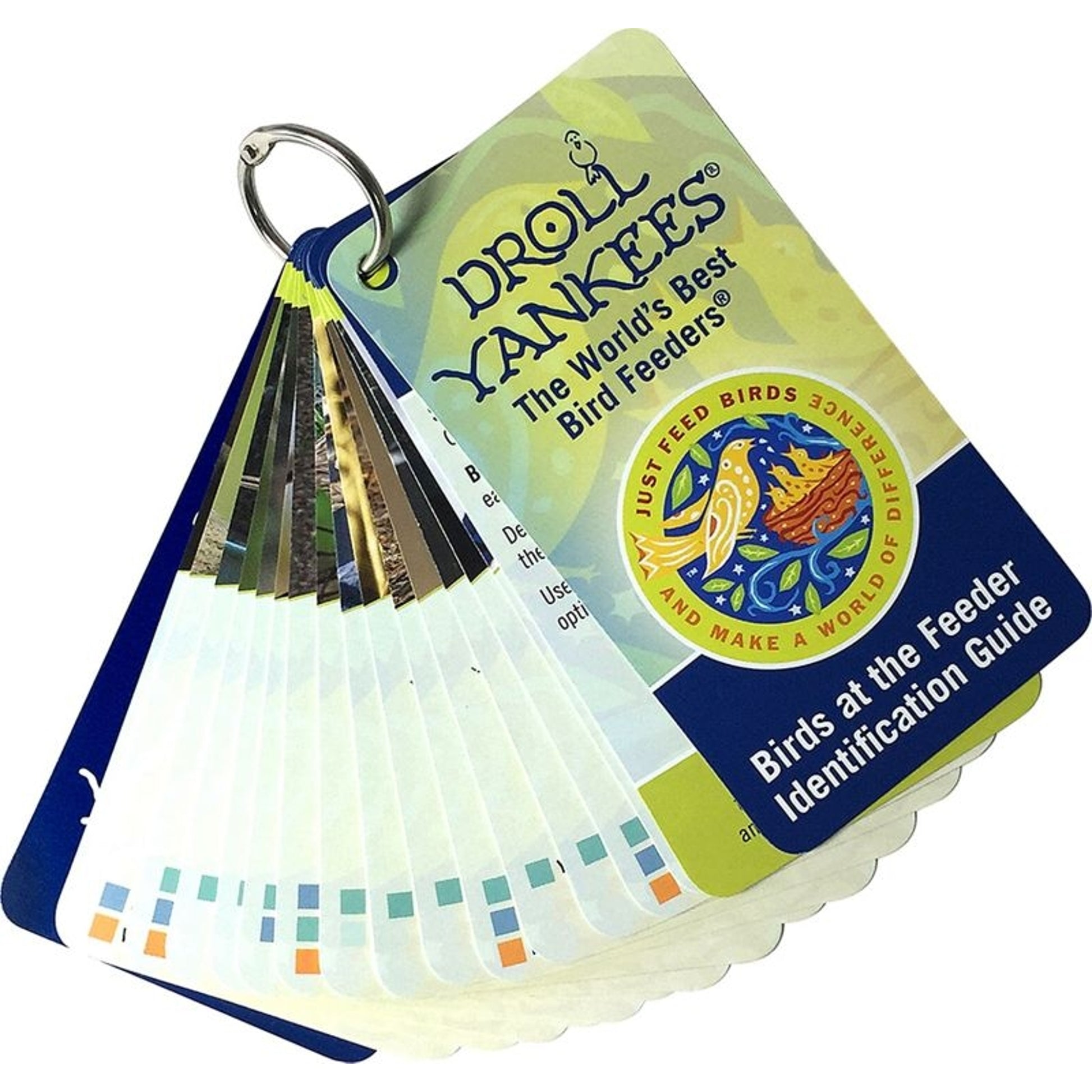 Droll Yankees Bird Feeder Identification Guide