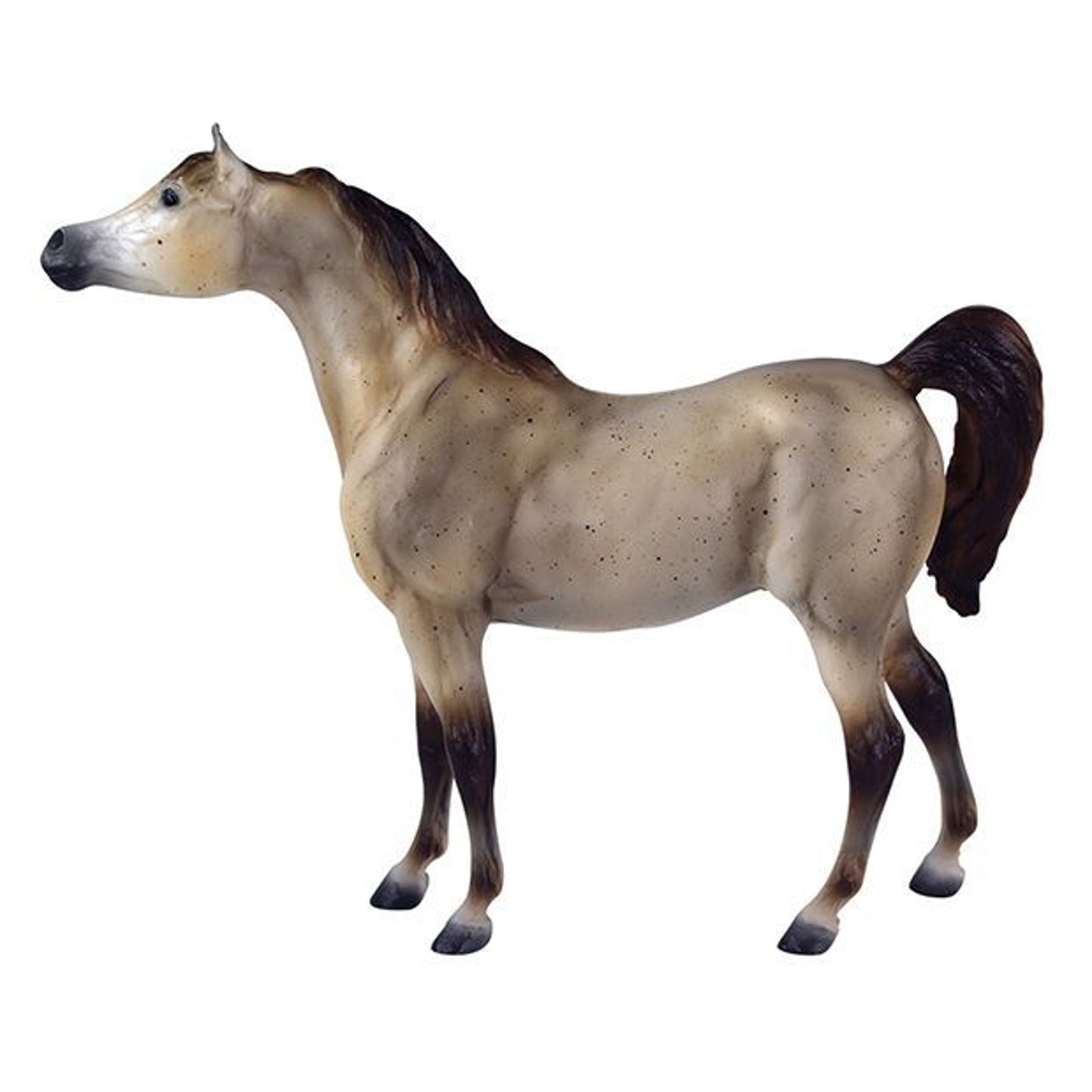 TH1448516.jpg