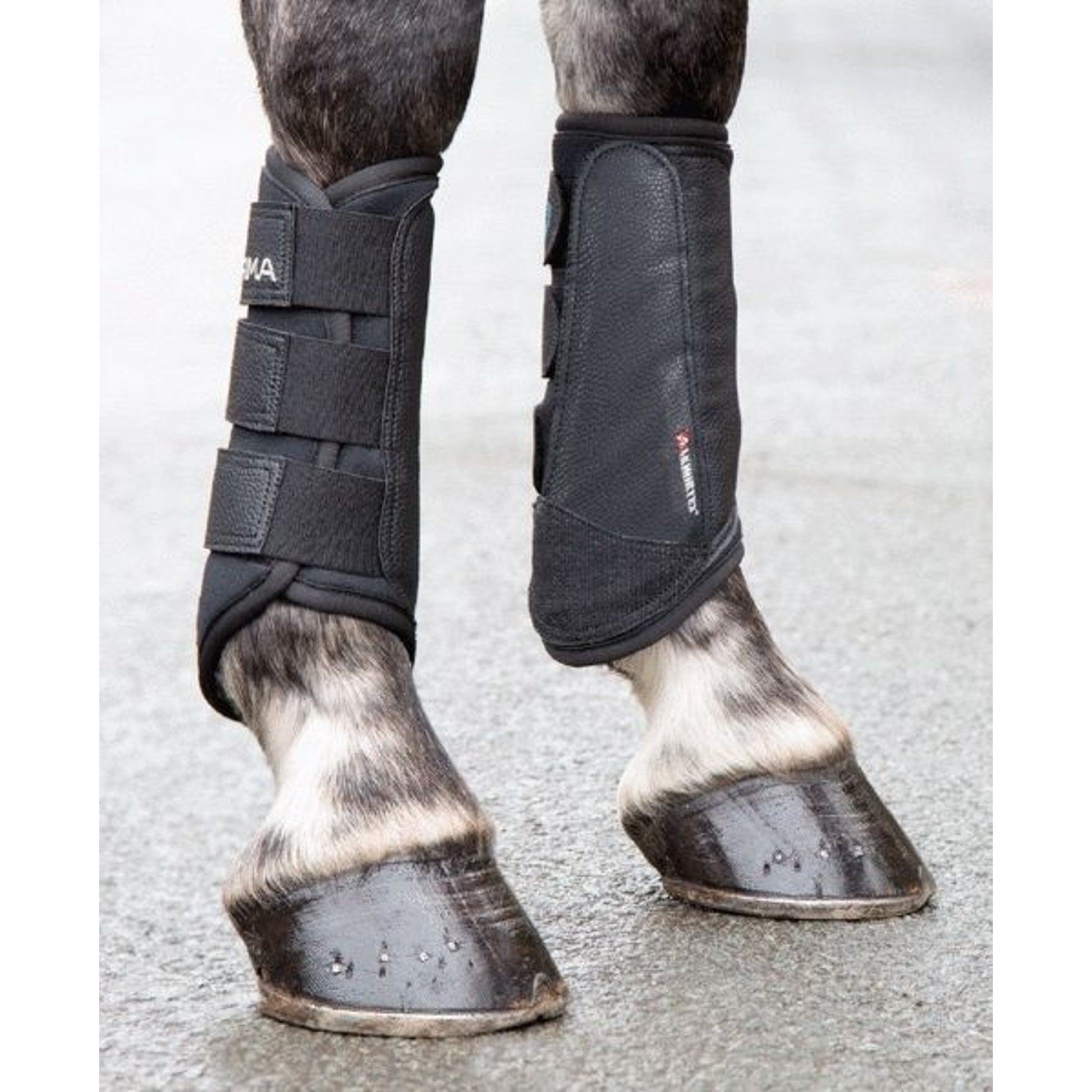 Shires Arma Brushing Boots Cob Brn