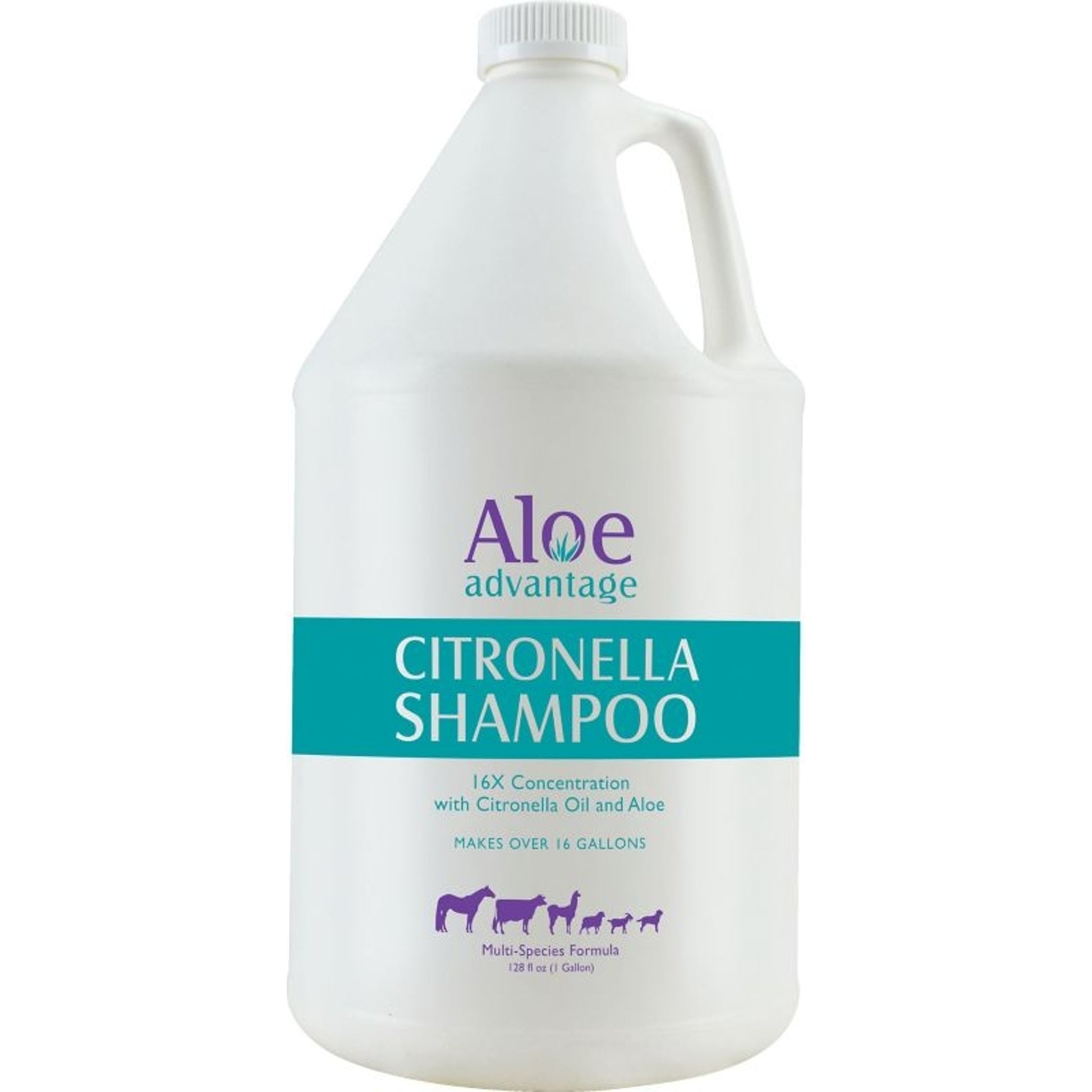 Citronella Shampoo 1 Gal
