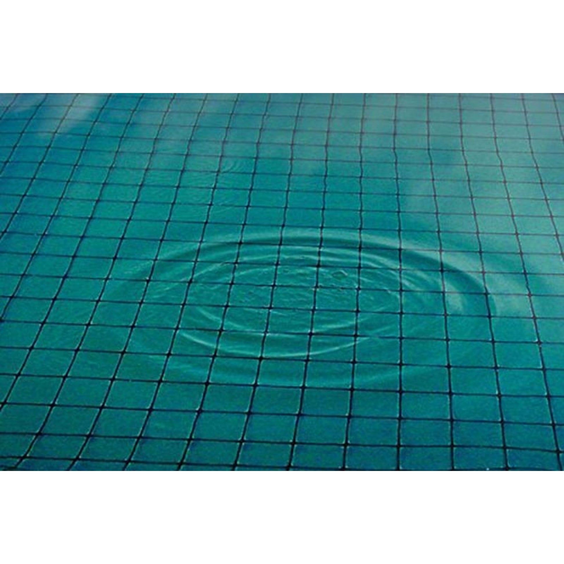 Bird And Pond Netting 28X28 Black