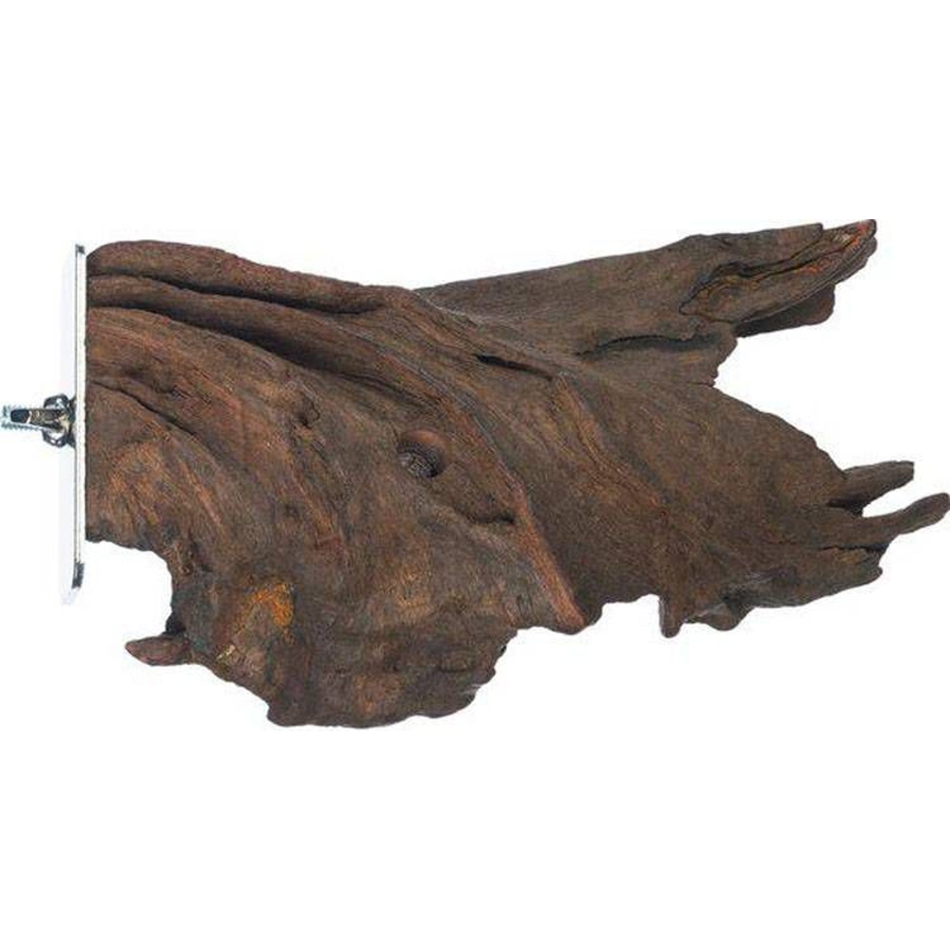 Prevue Mangrove Lounge Bird Toy LG Natural Wood