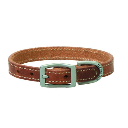 Weaver Terrain Dog Straight Collar