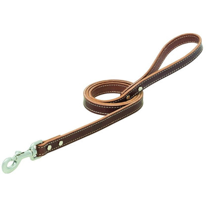 Weaver Terrain Dog Straight Leash