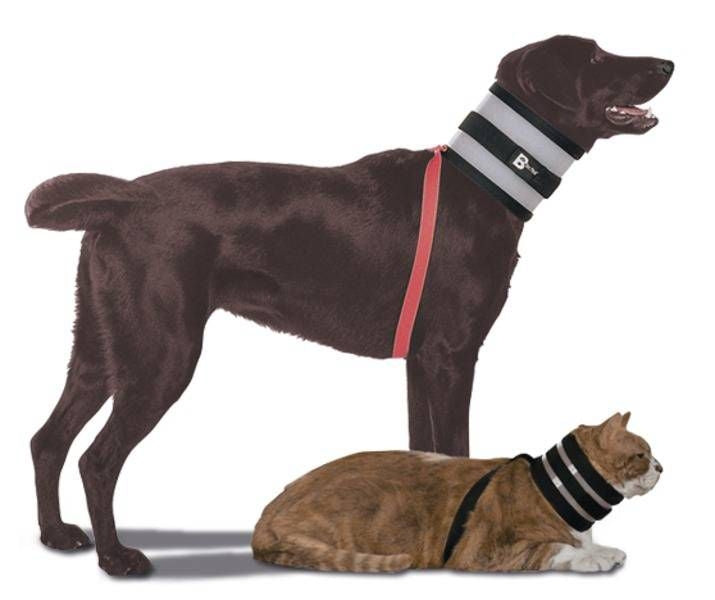 BiteNot Collar for Dogs and Cats 5 x 21