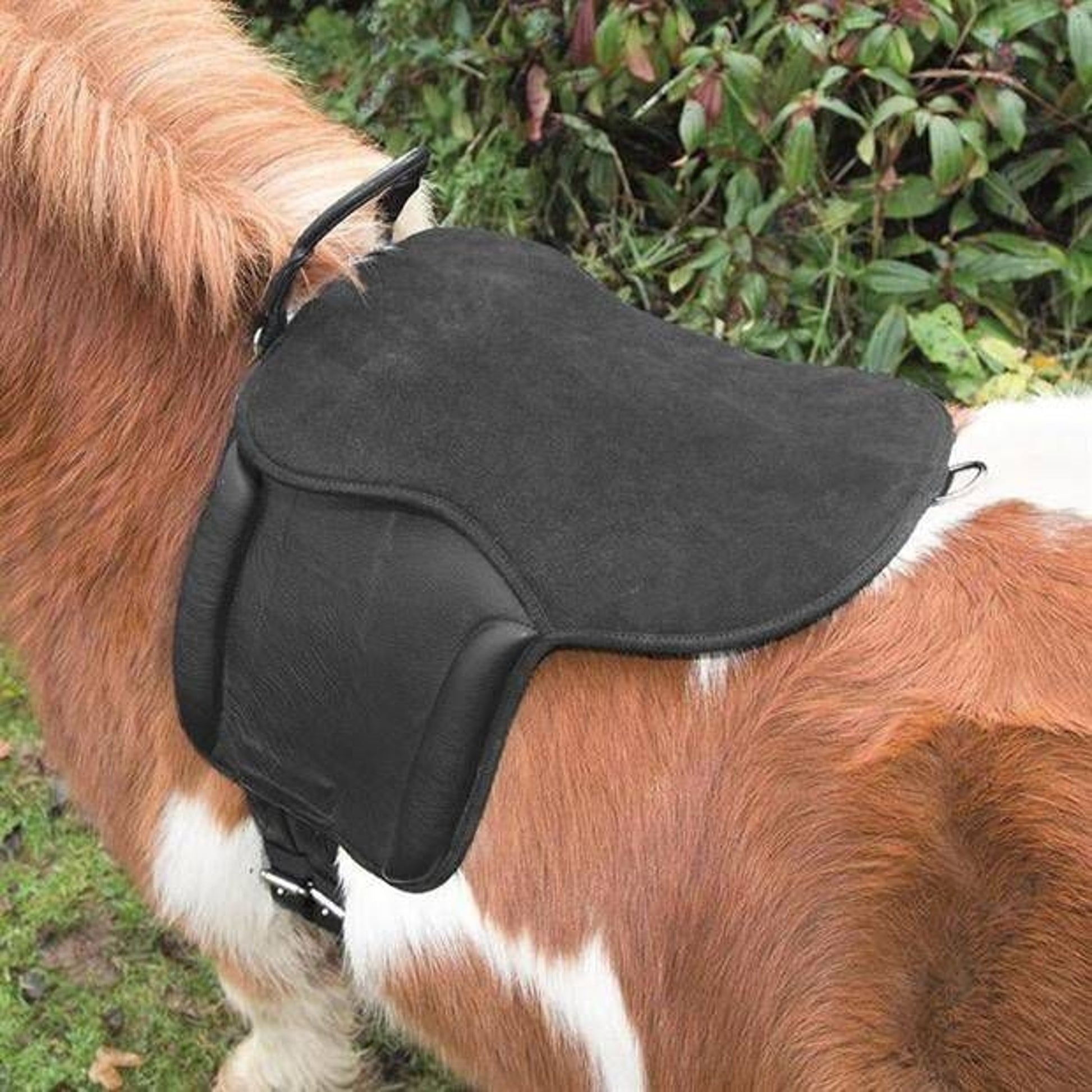 Shires Aviemore Pony Pad