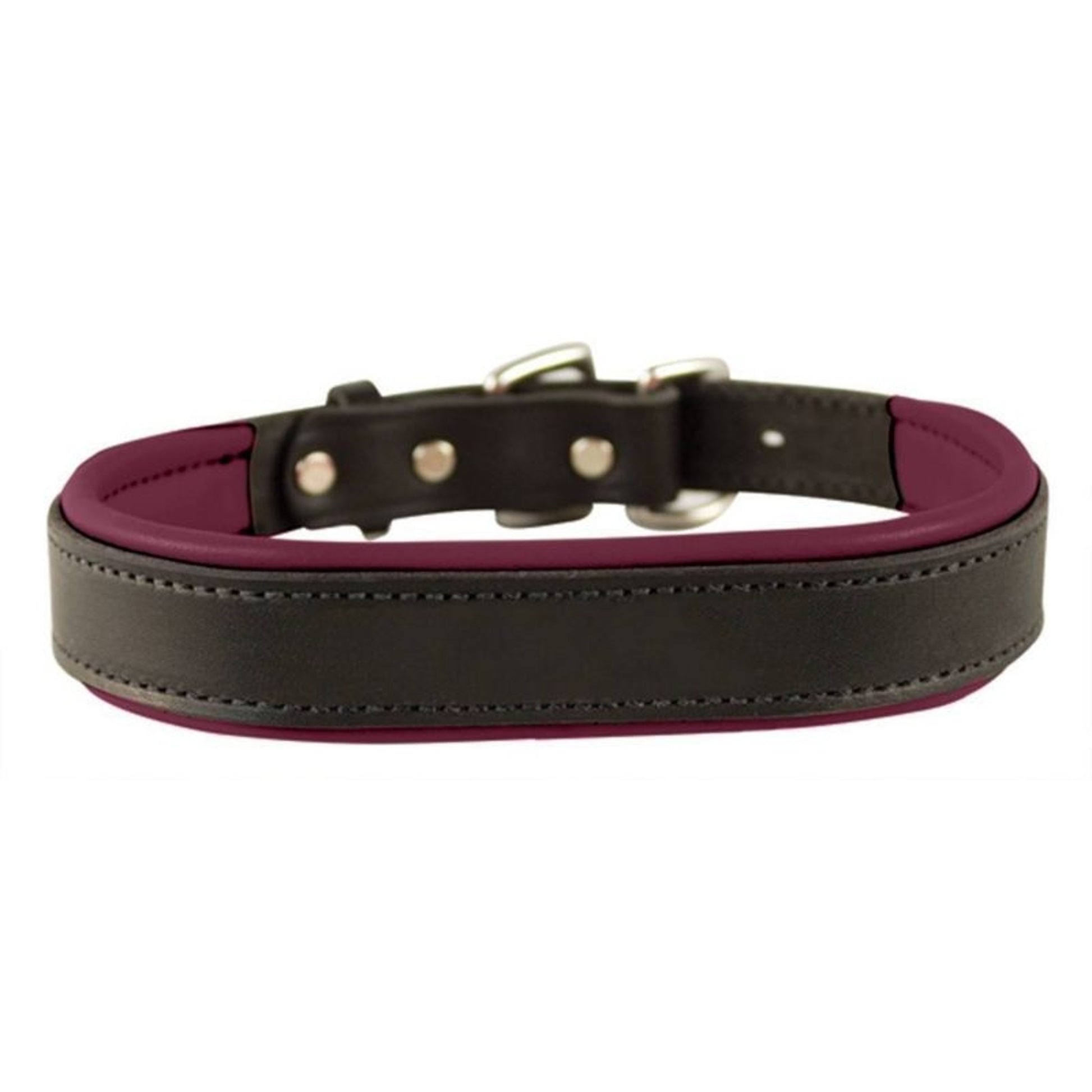 Perris Padded Leather Dog Collar