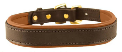 Perris Padded Leather Dog Collar