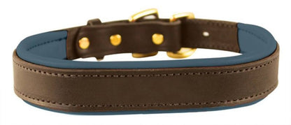 Perris Padded Leather Dog Collar