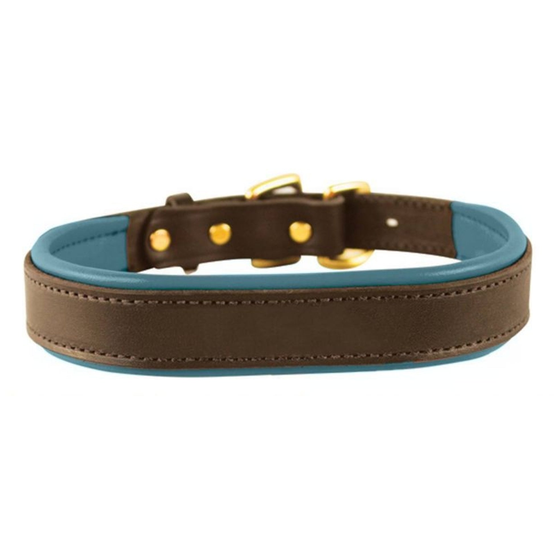 Perris Padded Leather Dog Collar