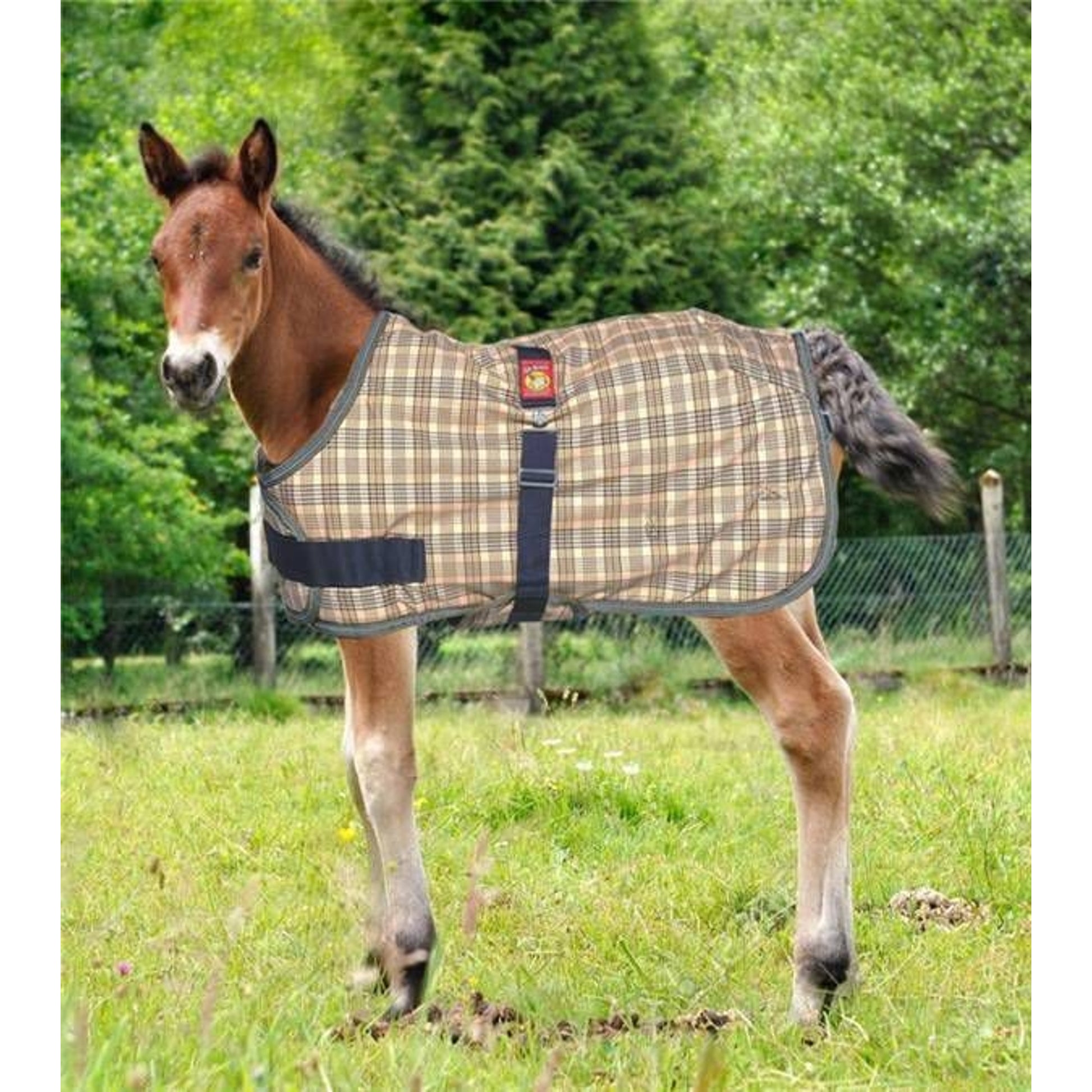 Baker Expand-O-Blanket Turnout for Foal & Pony Lar