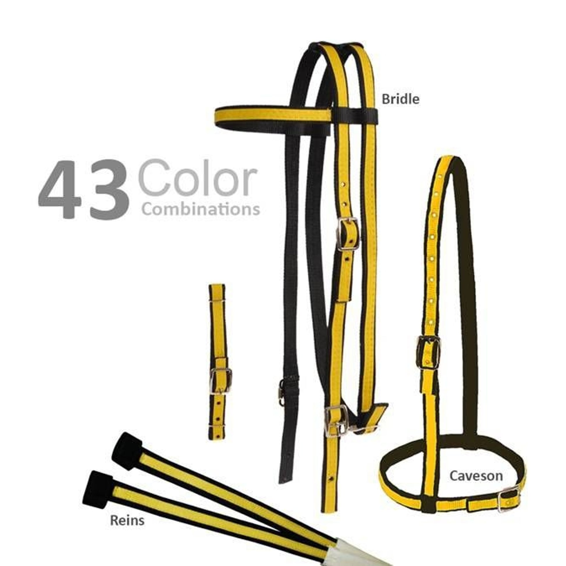 Jacks Two Tone Race Bridle Set 3/4" Black/Neon Pin