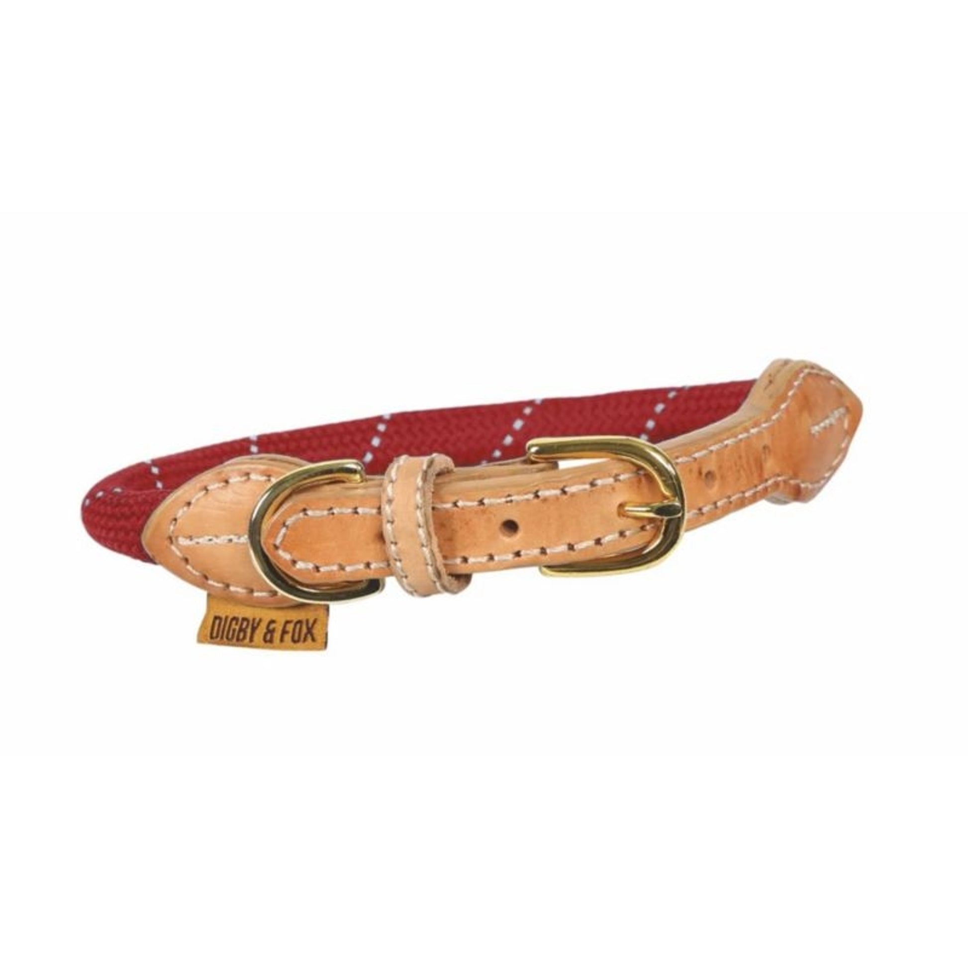 Shires Digby Reflective Dog Collar