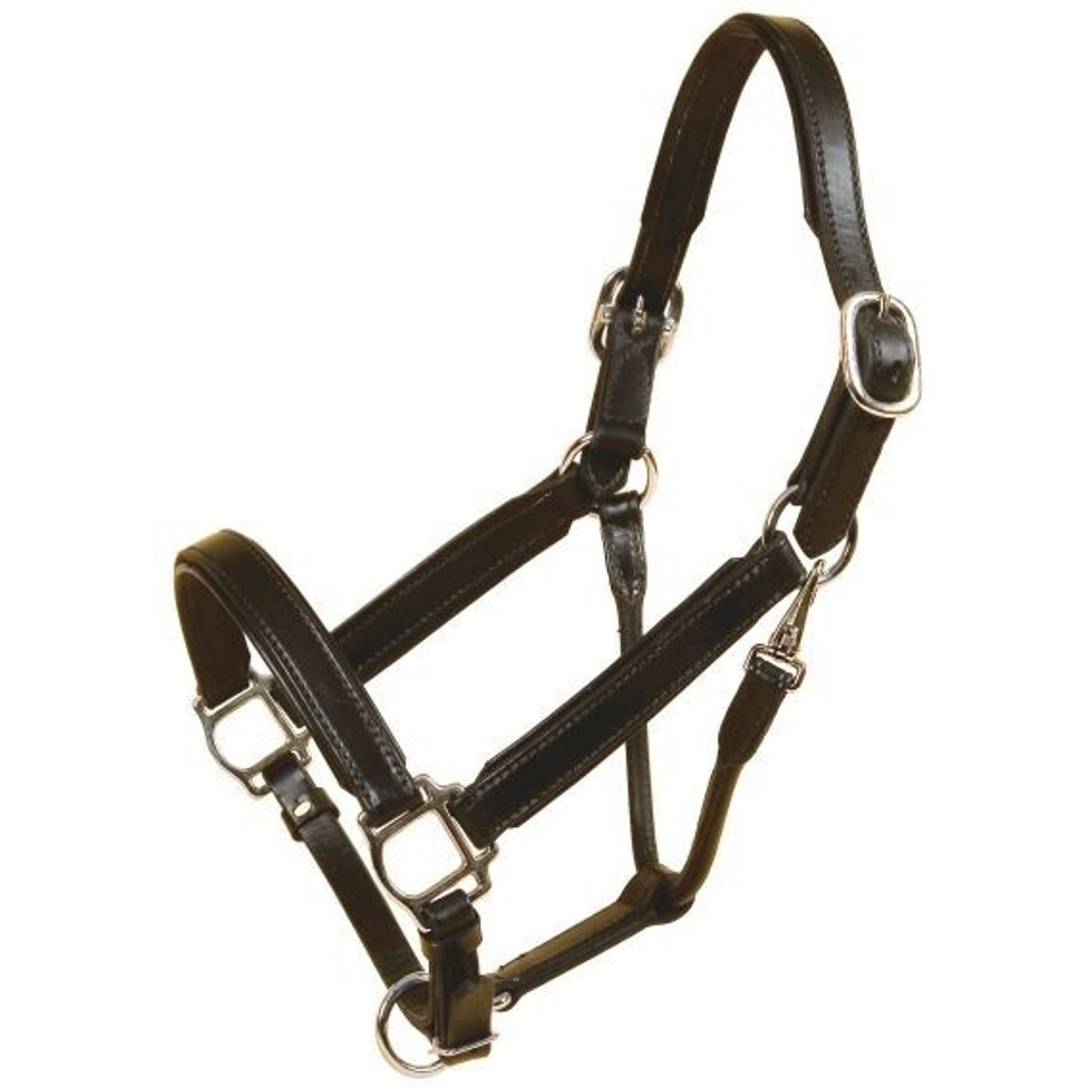 Bridle Leather Padded Halter/Nickel Cob Blk