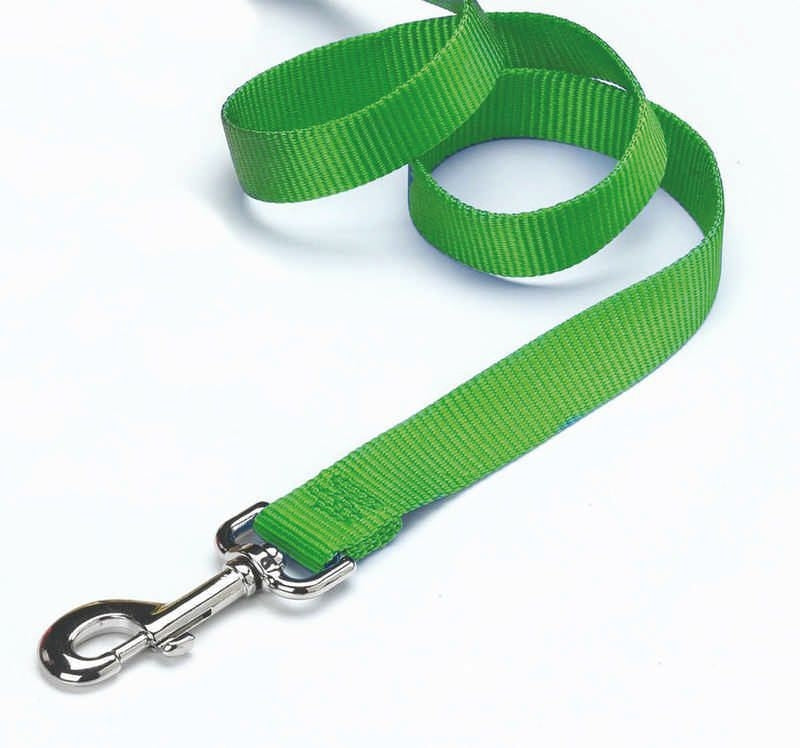 Nylon Lead With Snap For Dogs 24 x 16.25 x 8 Mango