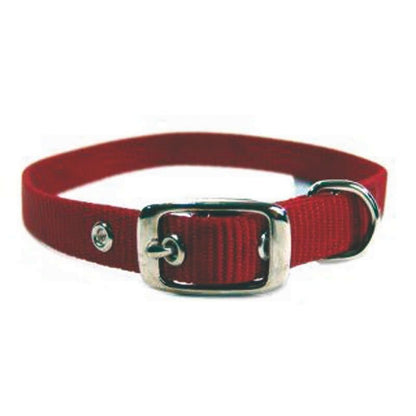 Single Nylon Dog Collar 2x0.25x0.25 Black