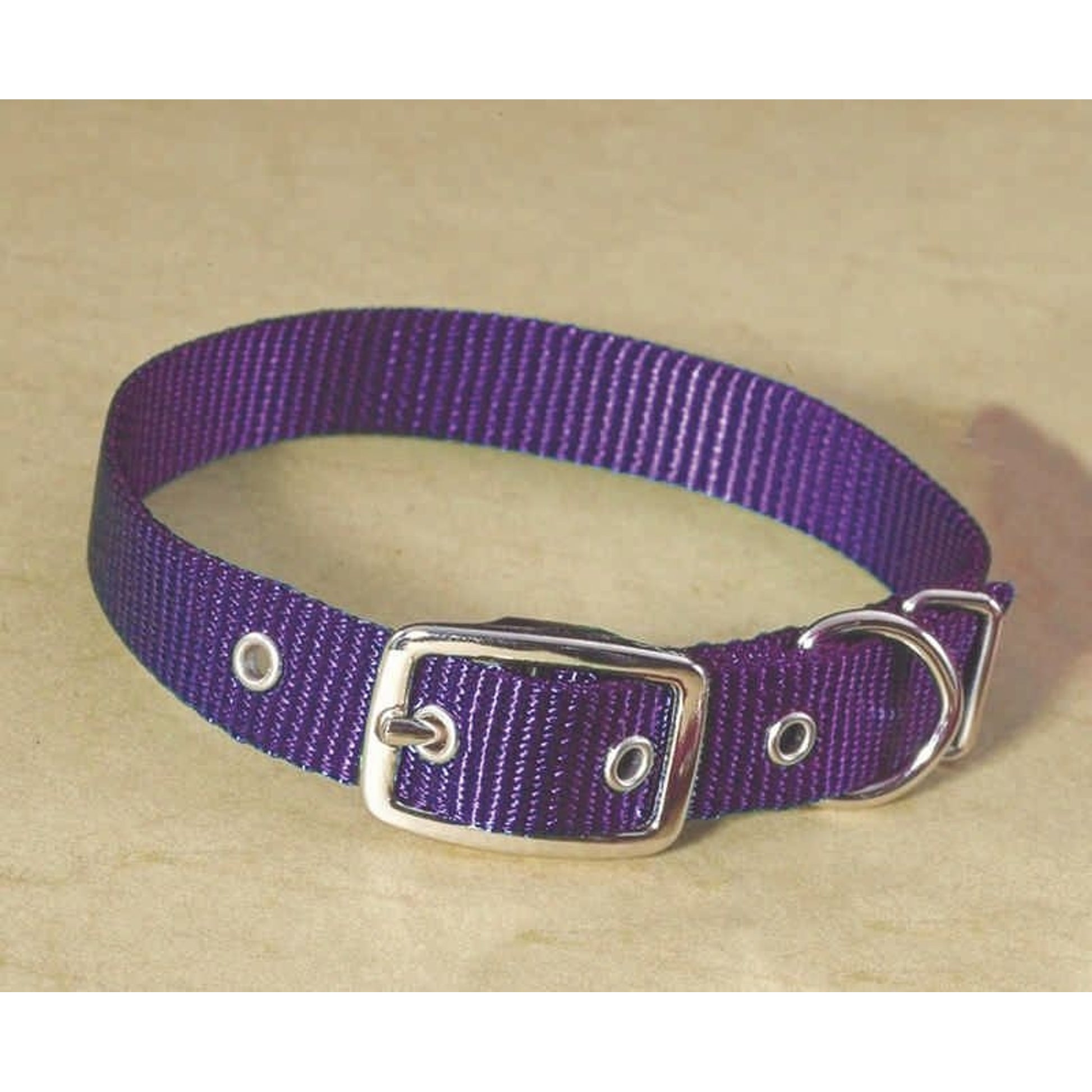 Single Nylon Dog Collar 2x0.25x0.25 Black