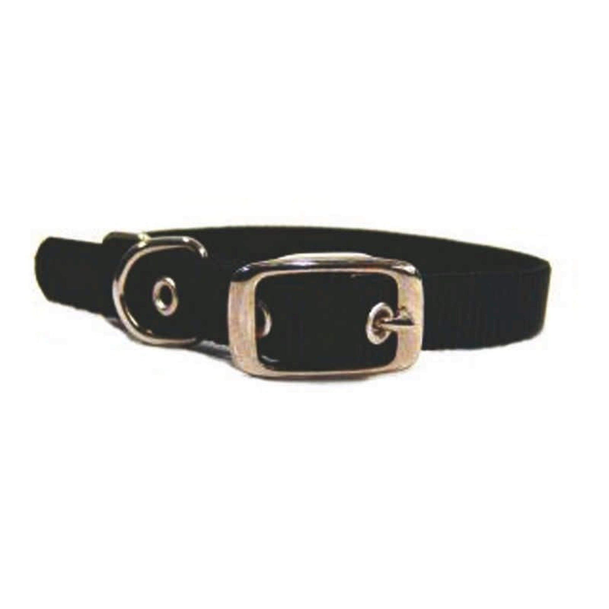 Single Nylon Dog Collar 2x0.25x0.25 Black