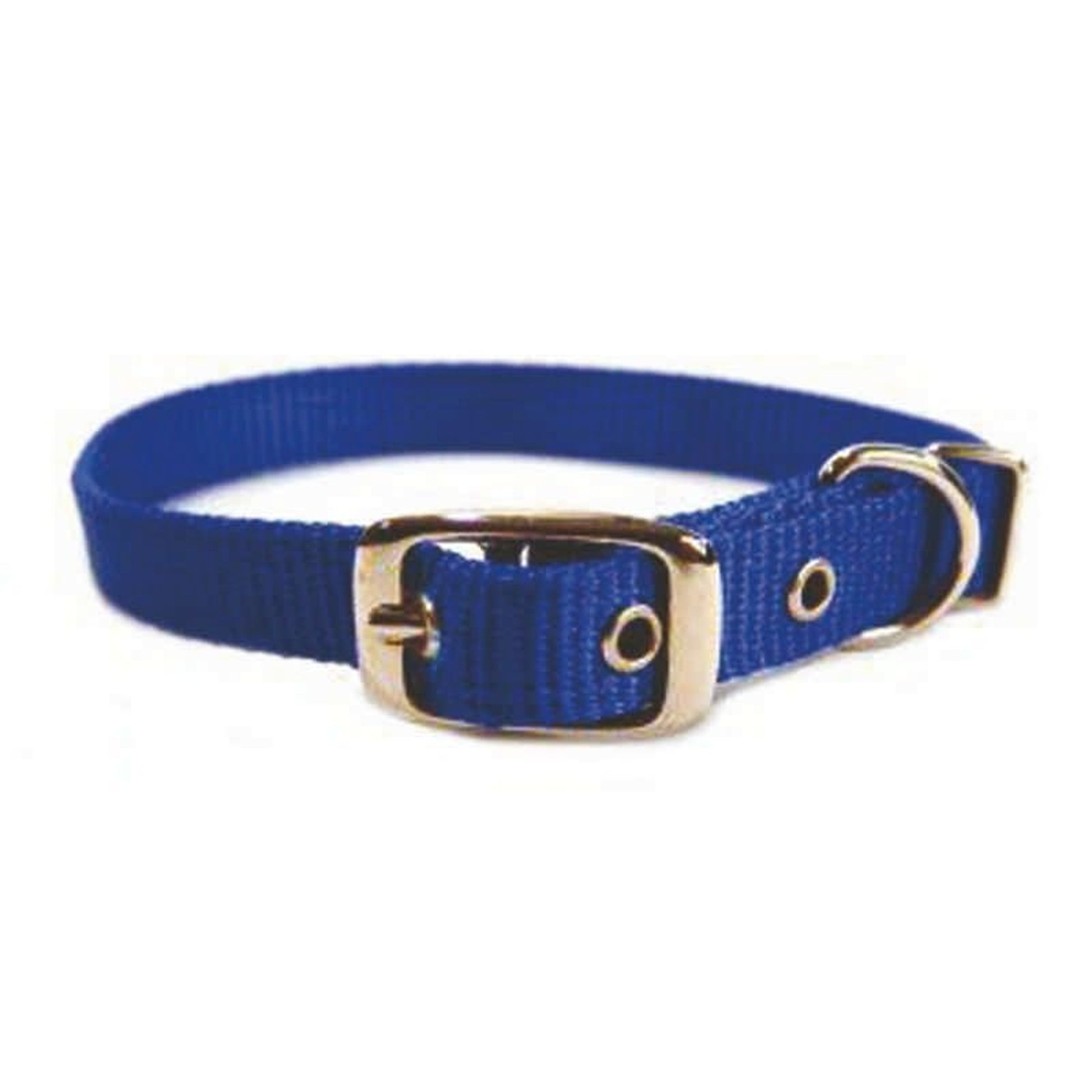 Single Nylon Dog Collar 2x0.25x0.25 Black