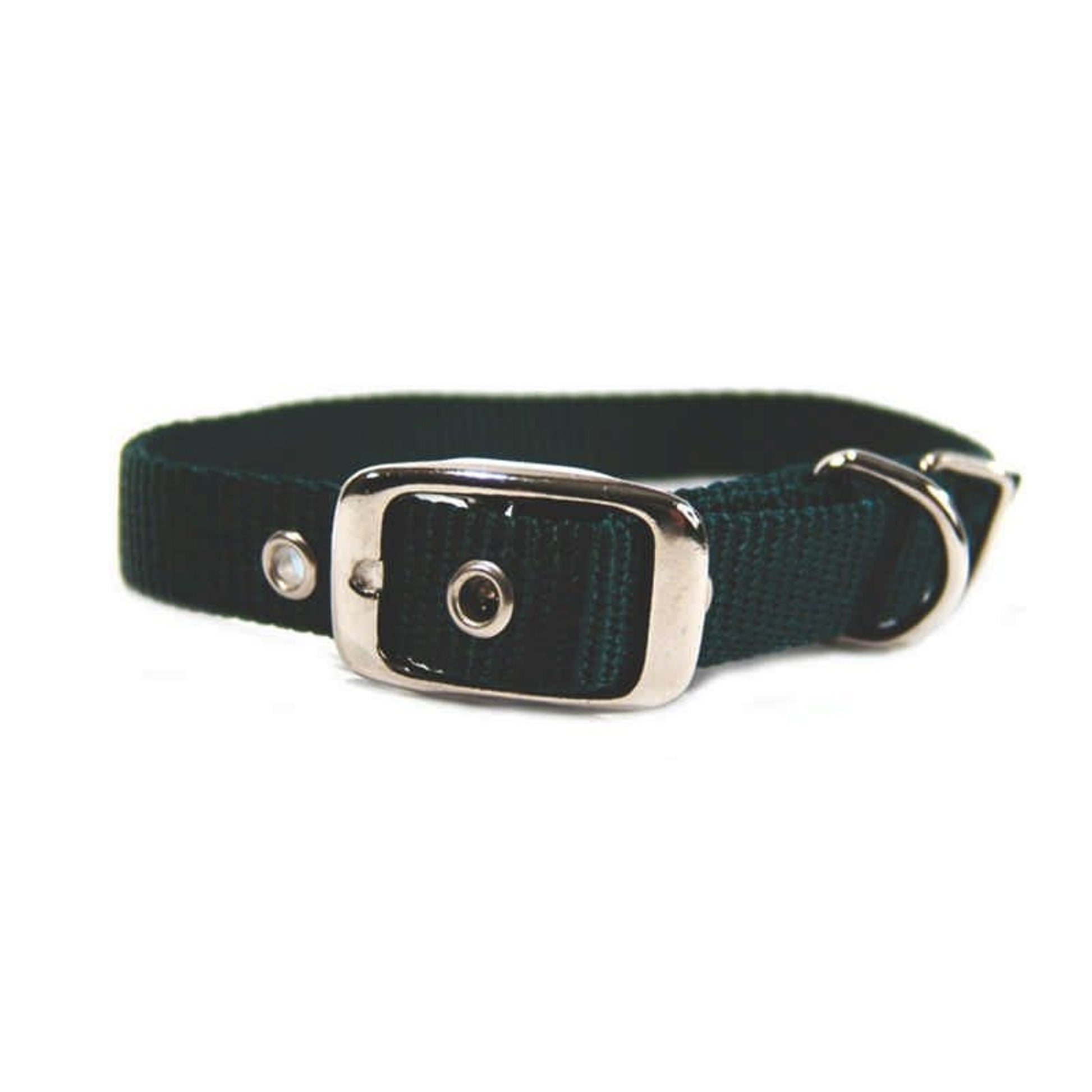 Single Nylon Dog Collar 2x0.25x0.25 Black
