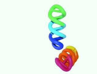 Dna Rubber Dog Toy 0.5 x 0.25 x 0.25 Multicolor