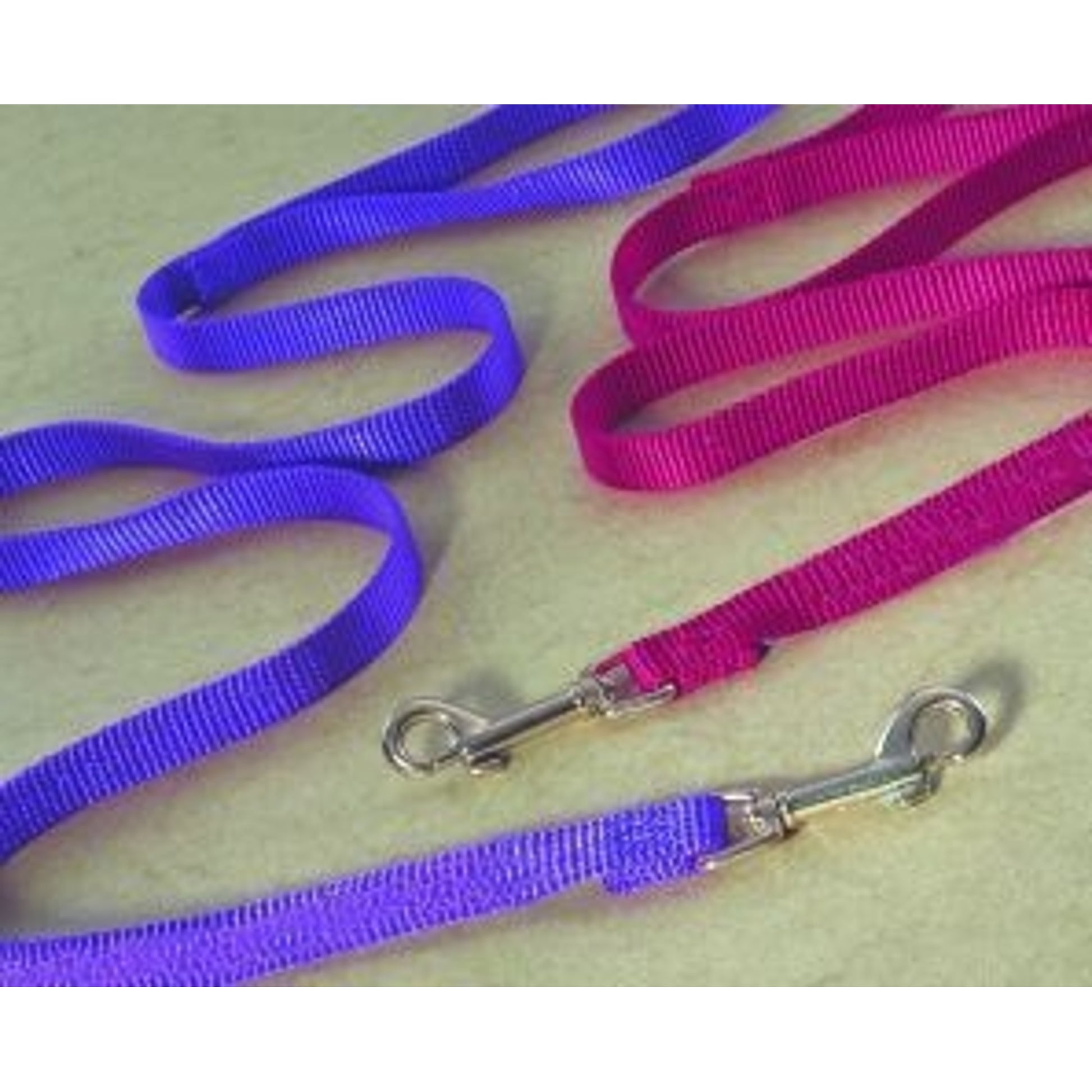 Nylon Lead For Dogs 6 Ft Hot Purple