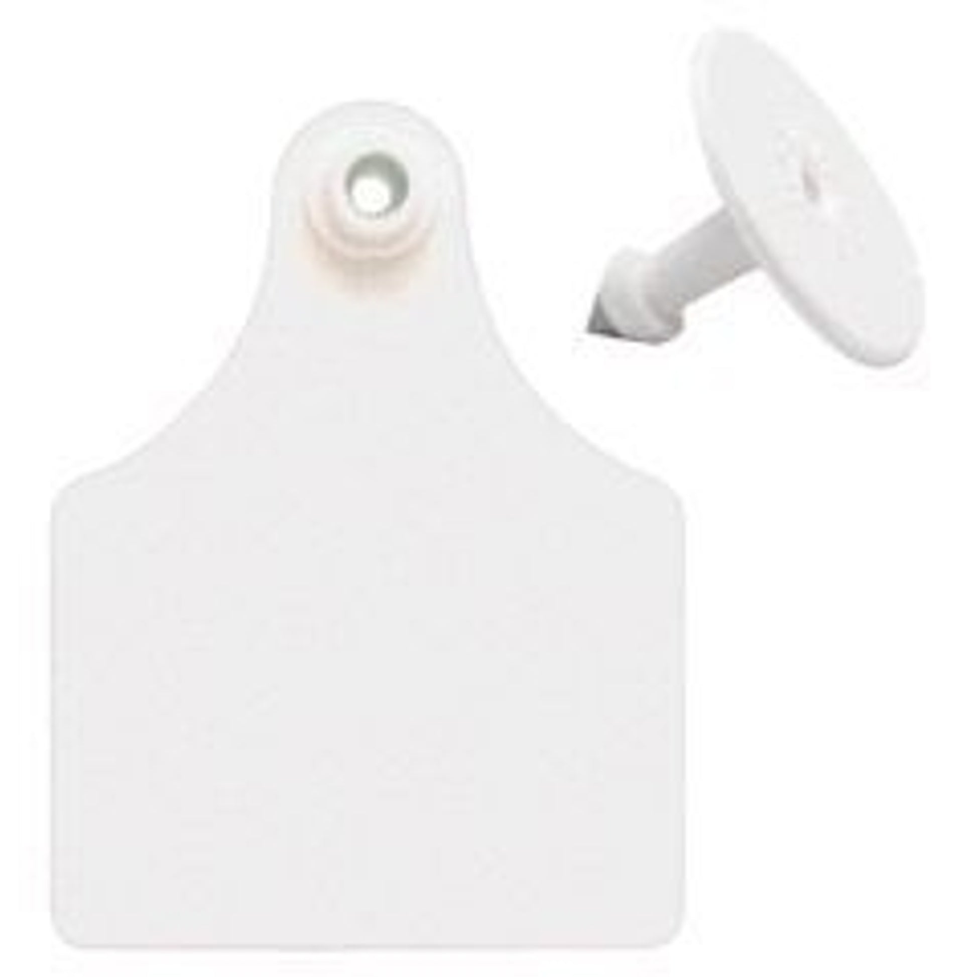 Allflex Ear Tag Blank Extra Large White