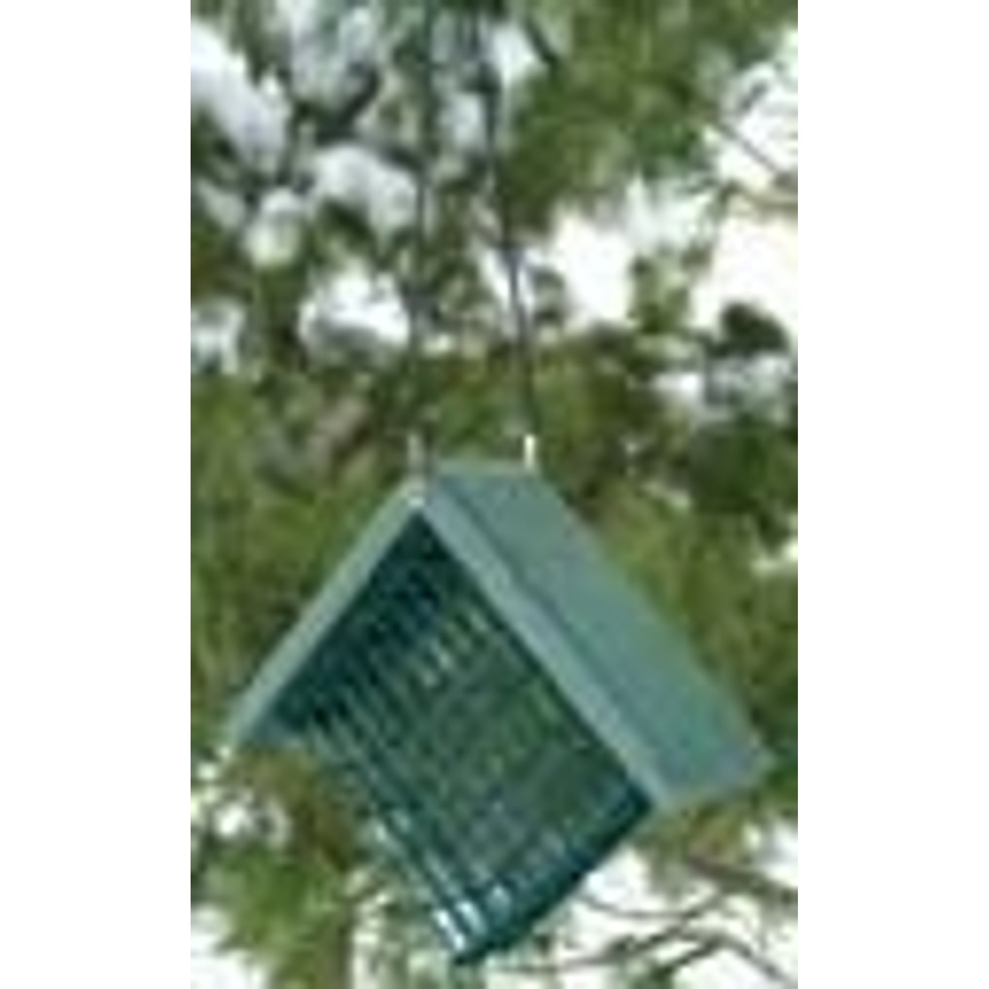Go Green Suet Feeder 7x3x6 Green