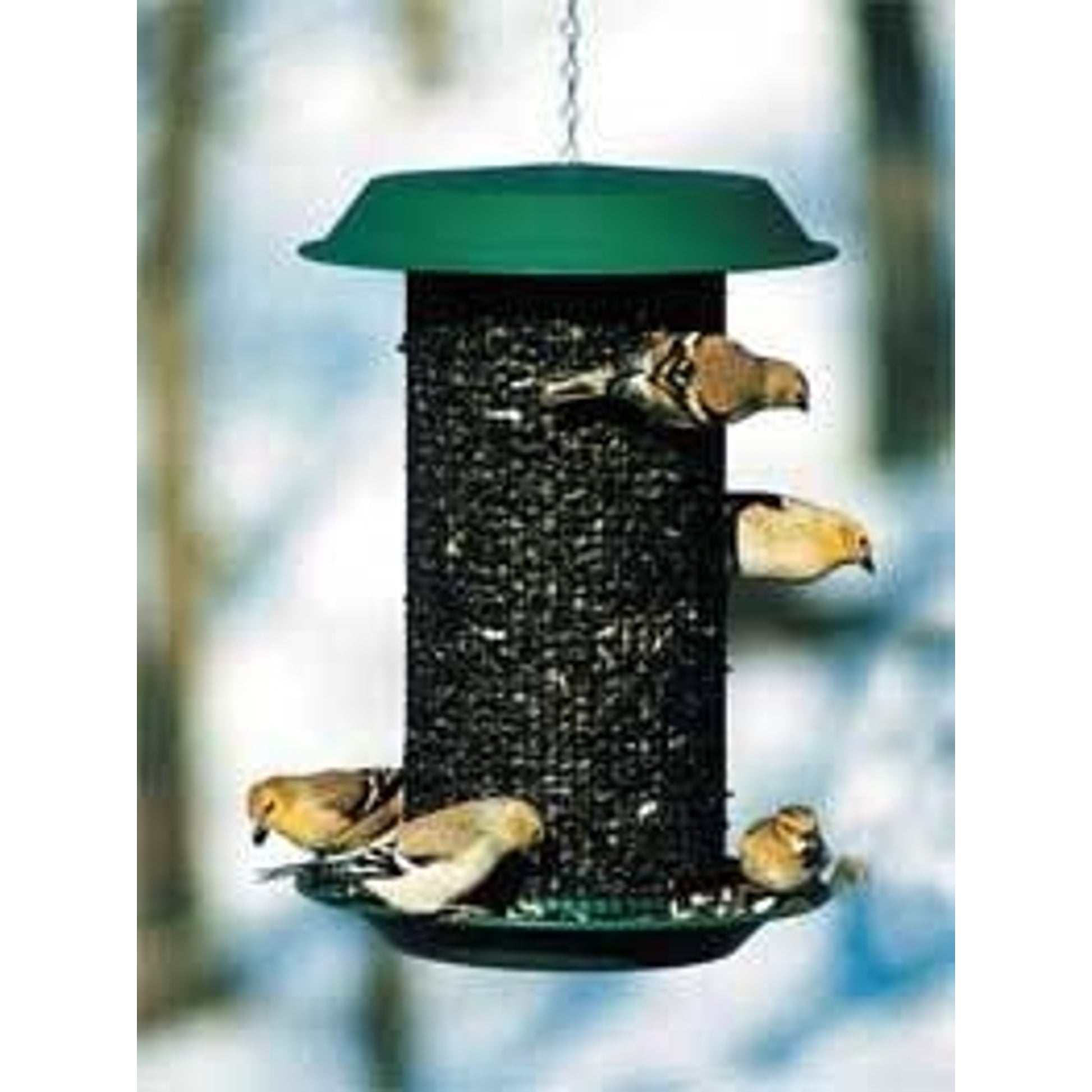 Woodlink Magnum 4Qt Sunflower Feeder