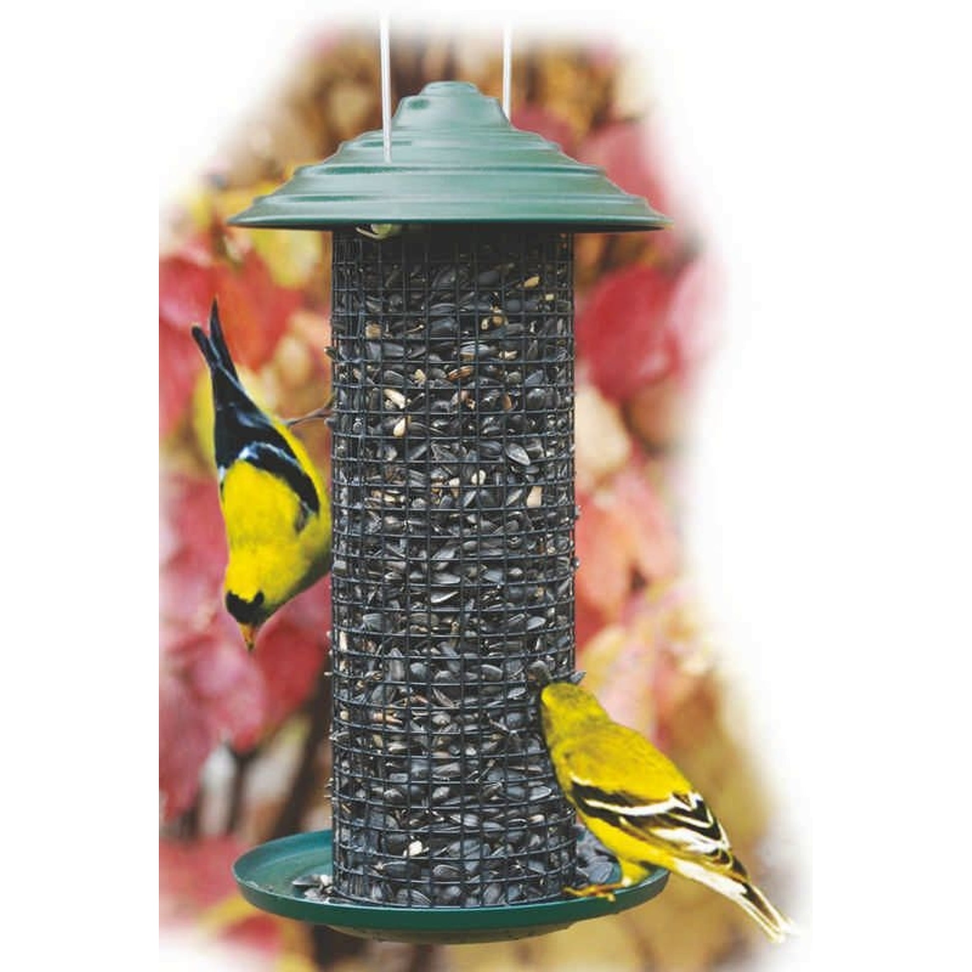 Minimagnum Sunflower Feeder 4.75Diameter Grn